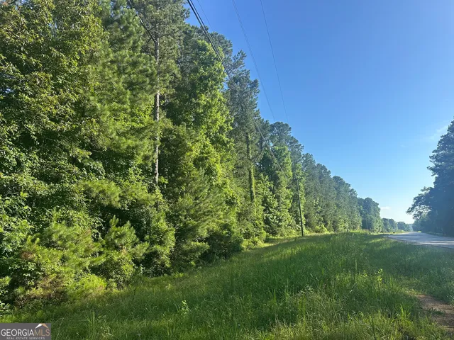 a view of a lush green space
