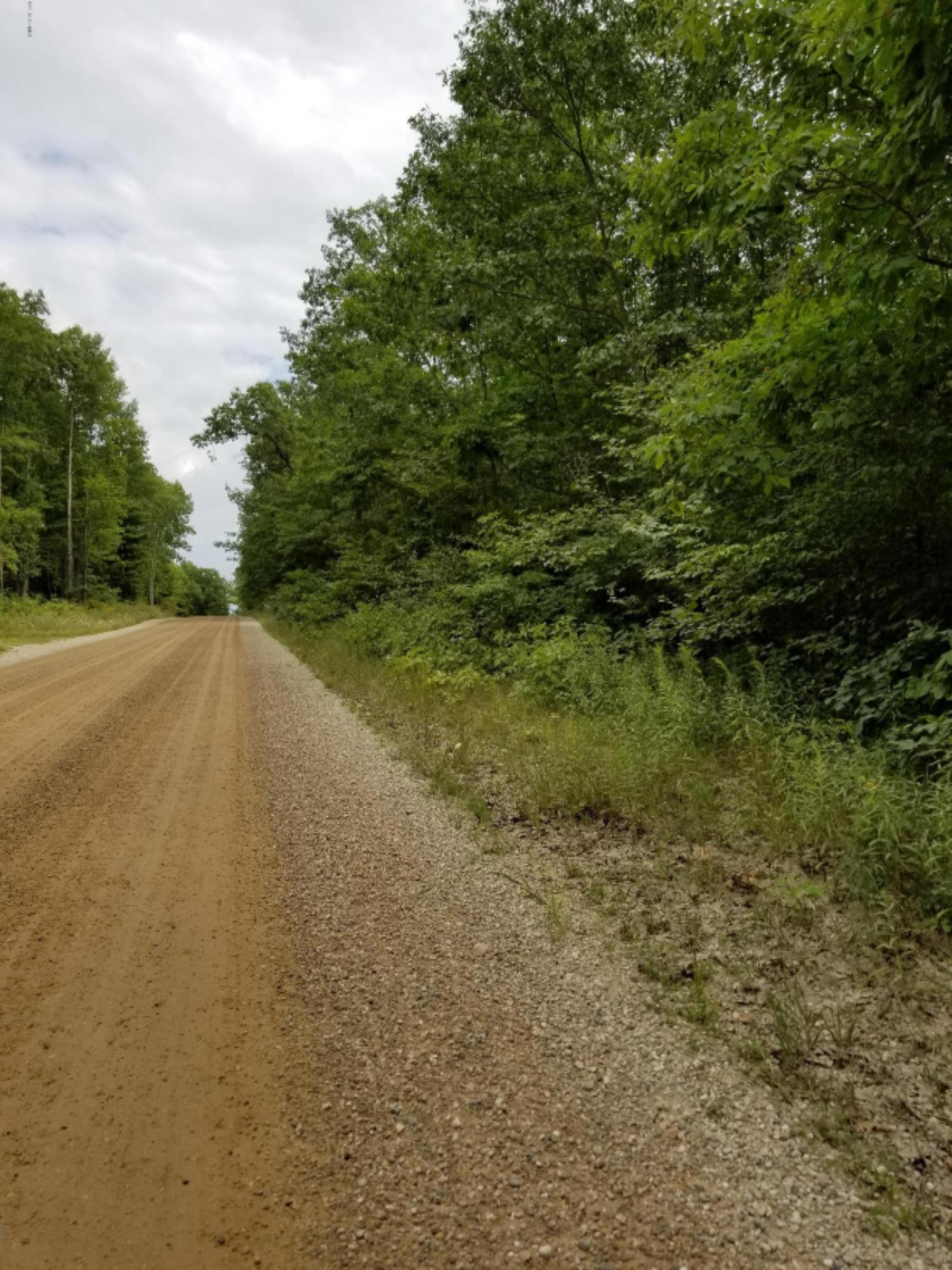 9 West Mile Road Stanwood, MI 49346 - Photo 3 of 6 2018-08-16 14.24.24