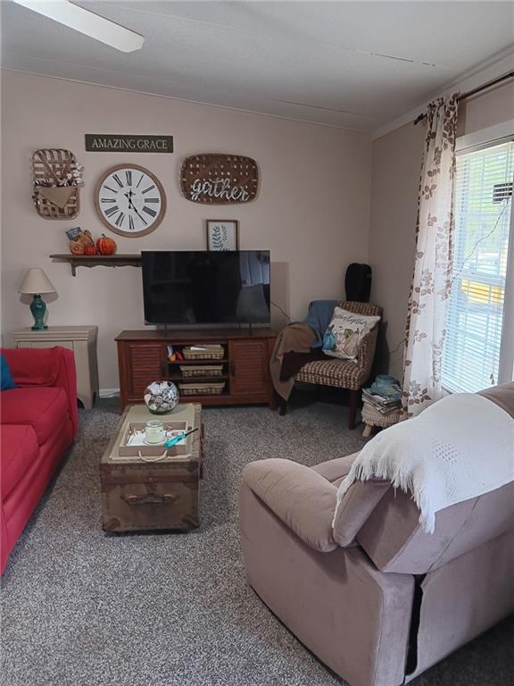 13 Black Road Northeast White, GA 30184 - Photo 8 of 31 a living room with furniture and a flat screen tv