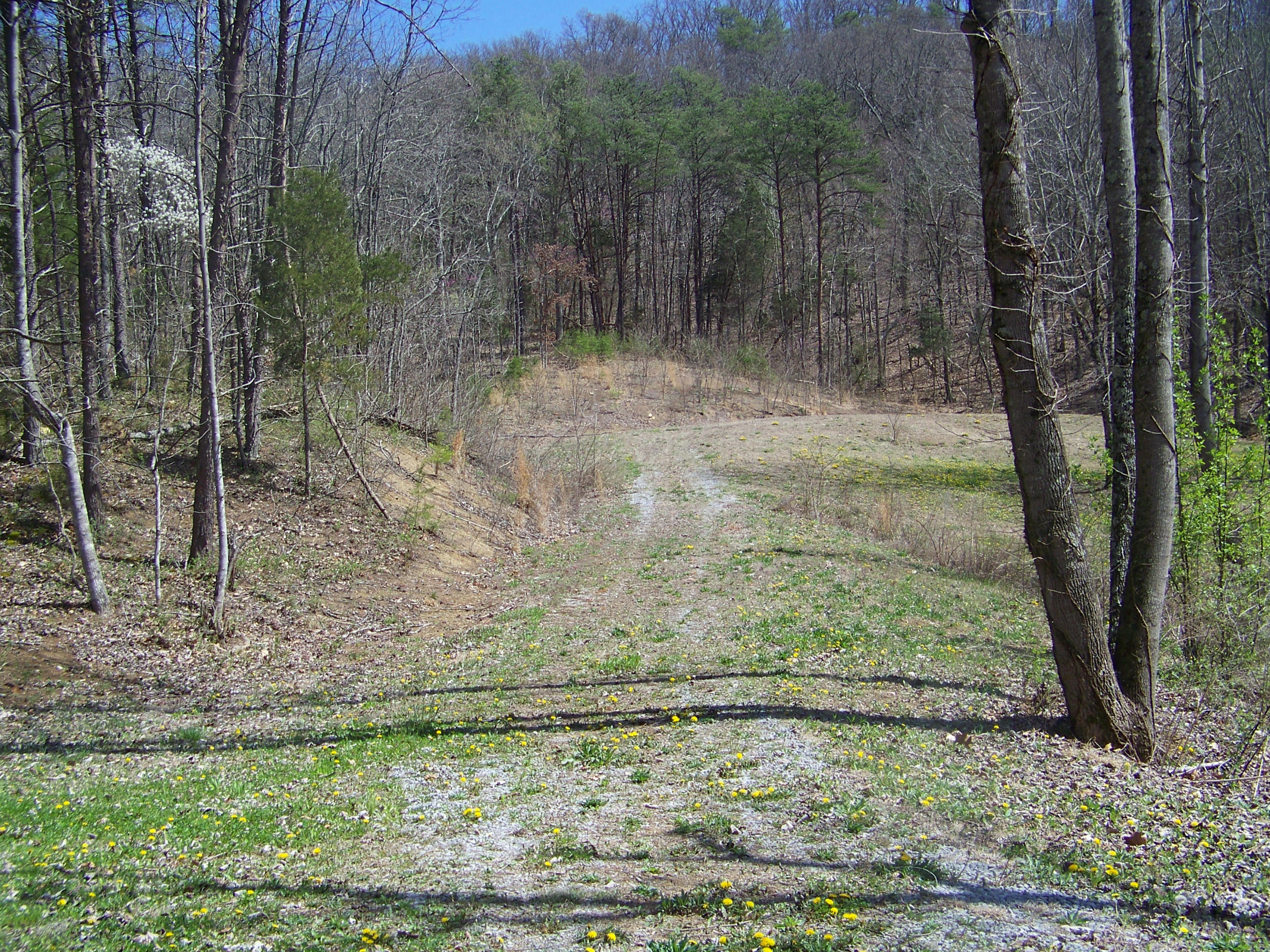 0 Pleasant Ridge School Road Talbott, TN 37877 - Photo 1 of 36 100_4499