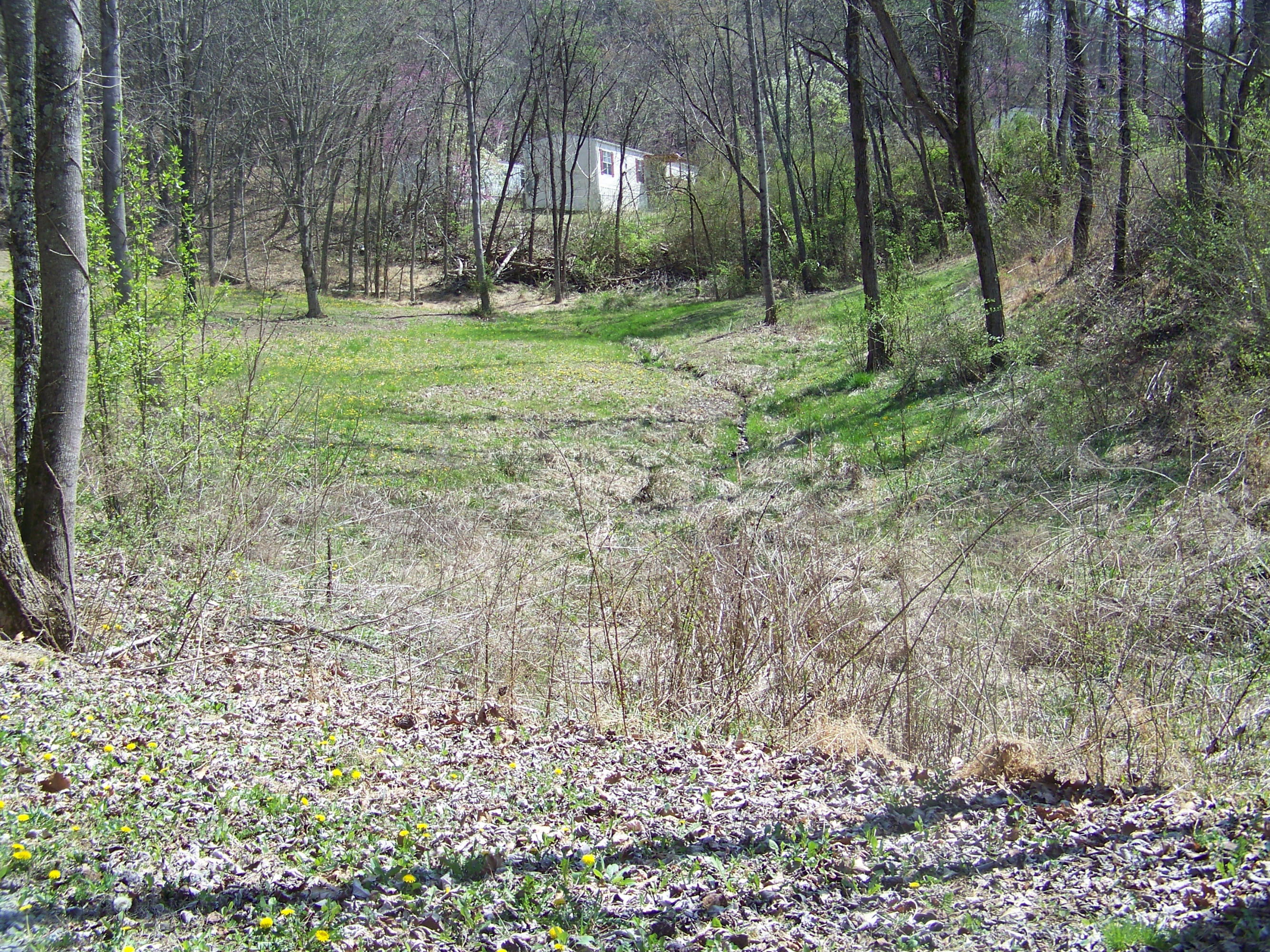 0 Pleasant Ridge School Road Talbott, TN 37877 - Photo 2 of 36 100_4500