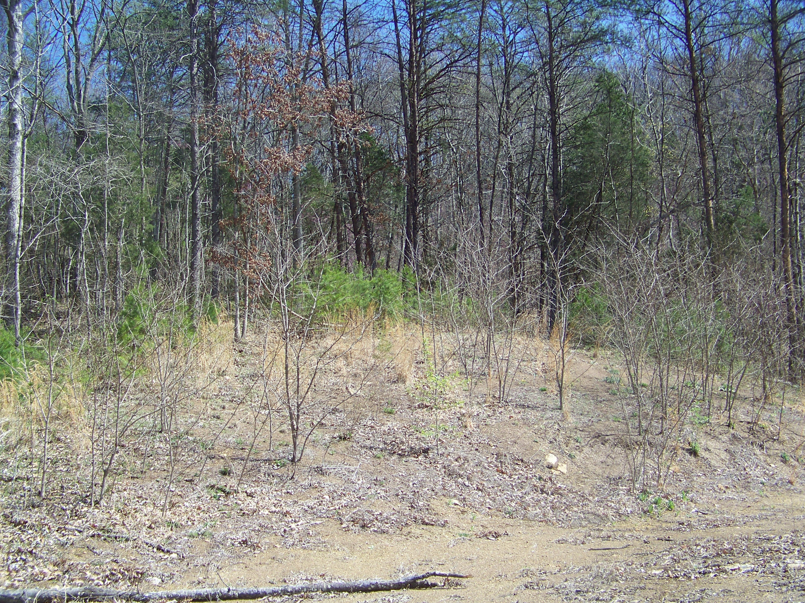 0 Pleasant Ridge School Road Talbott, TN 37877 - Photo 13 of 36 100_4511