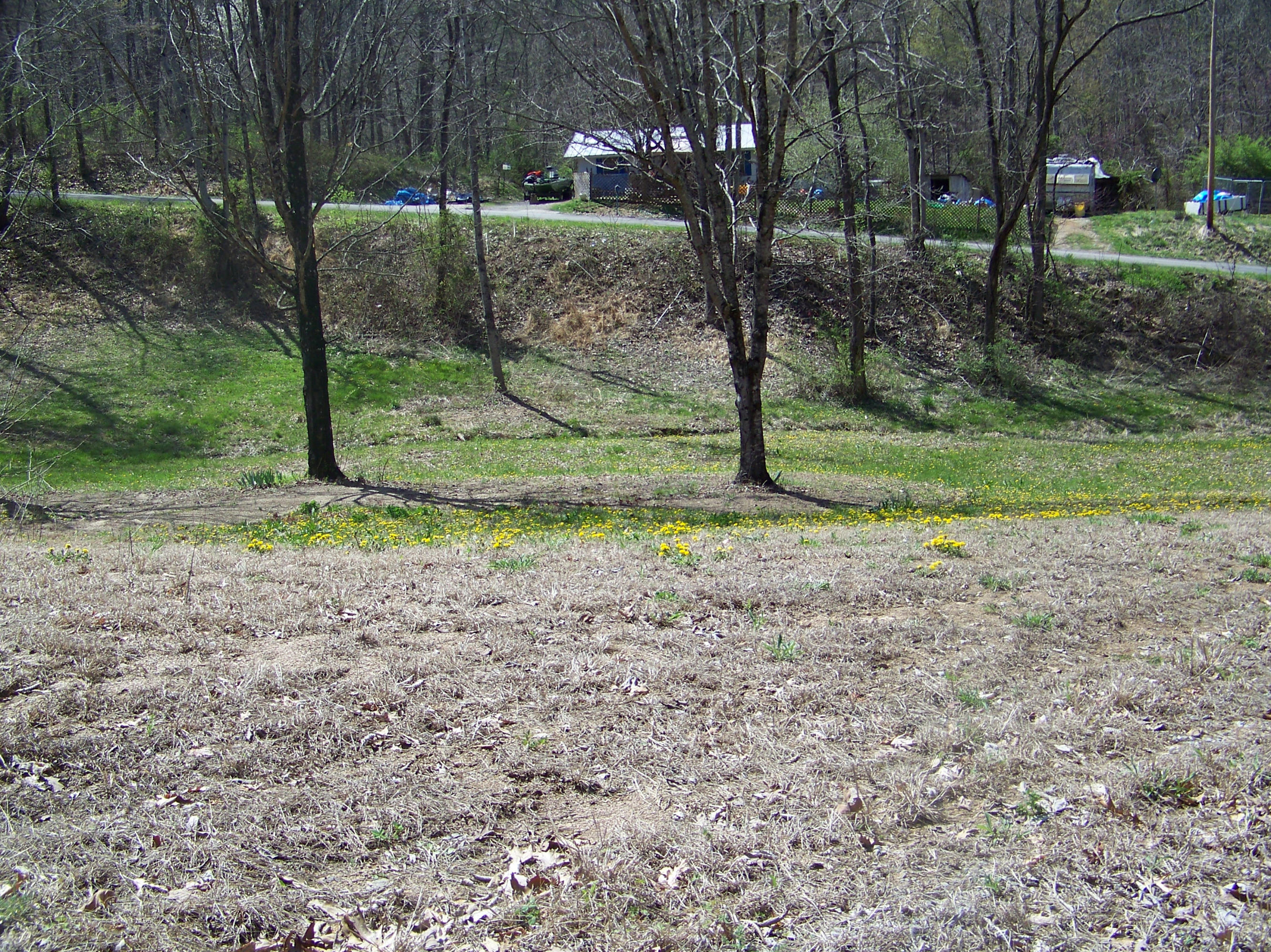 0 Pleasant Ridge School Road Talbott, TN 37877 - Photo 15 of 36 100_4513