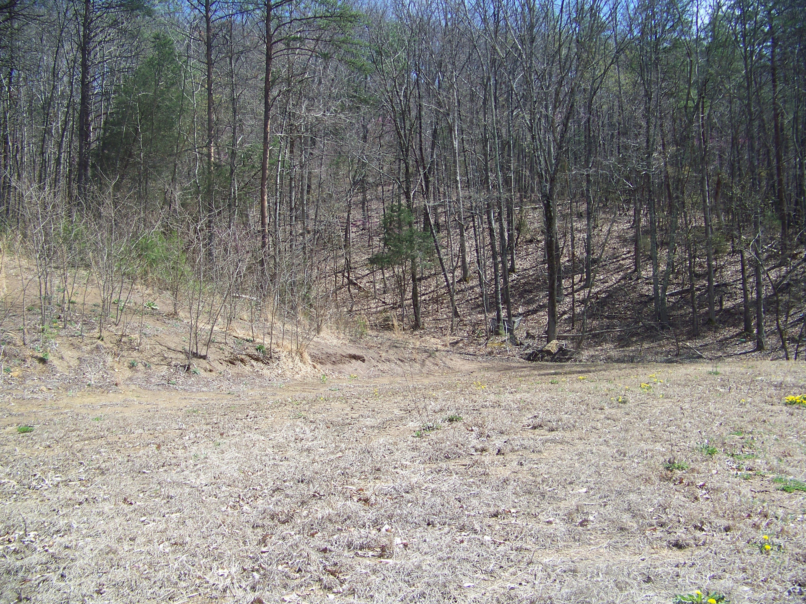 0 Pleasant Ridge School Road Talbott, TN 37877 - Photo 17 of 36 100_4515