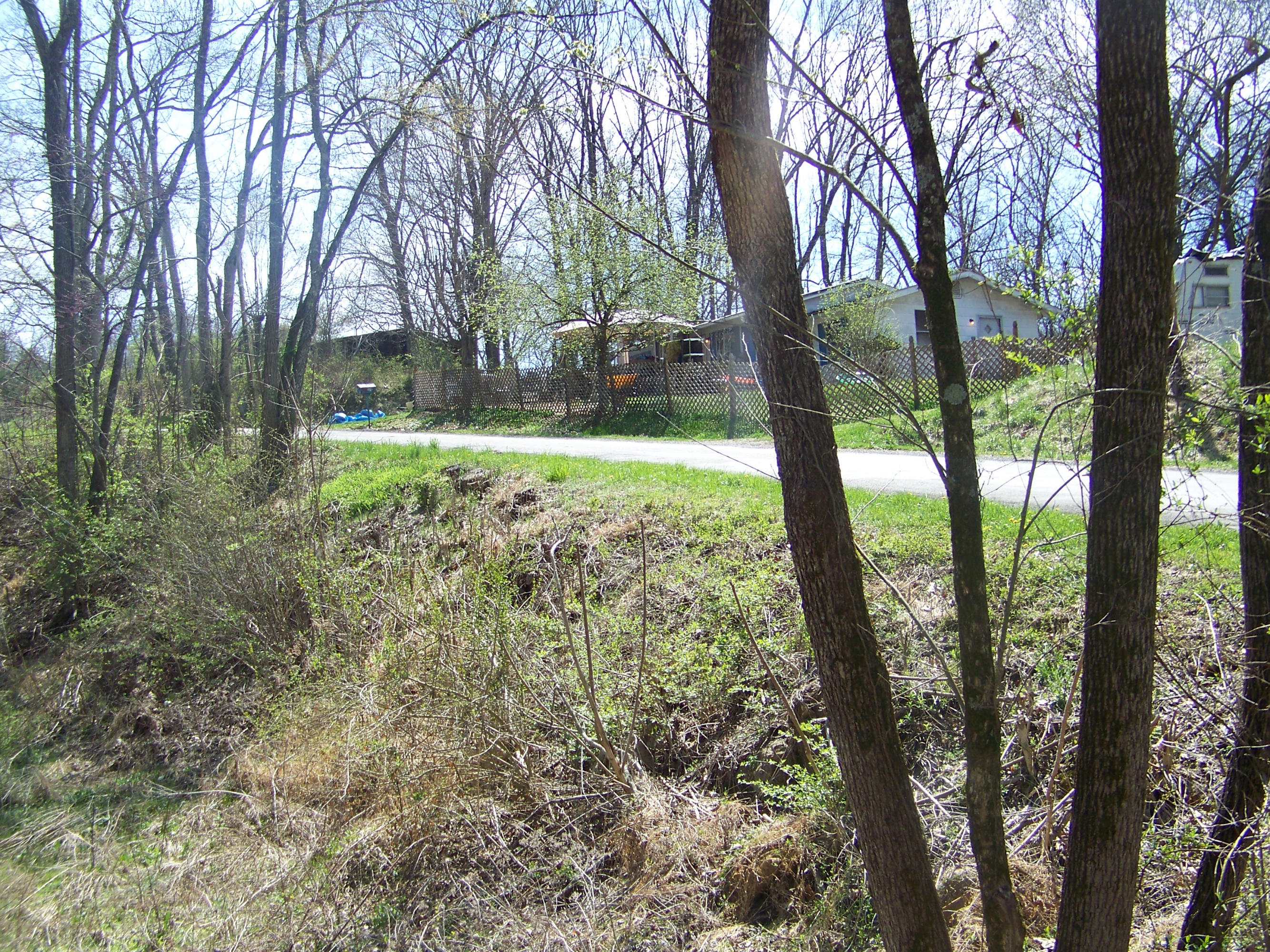 0 Pleasant Ridge School Road Talbott, TN 37877 - Photo 3 of 36 100_4501