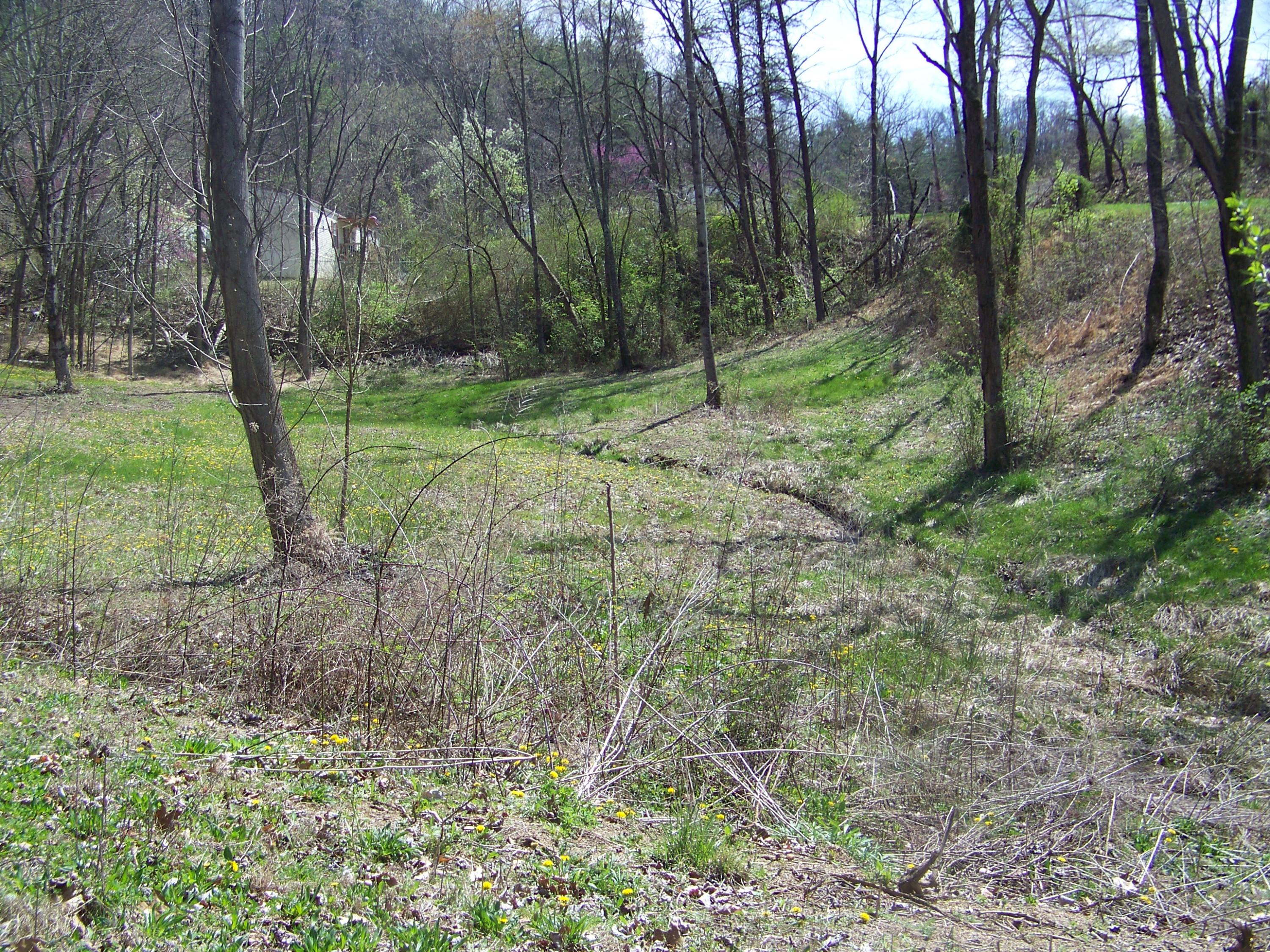 0 Pleasant Ridge School Road Talbott, TN 37877 - Photo 22 of 36 100_4502