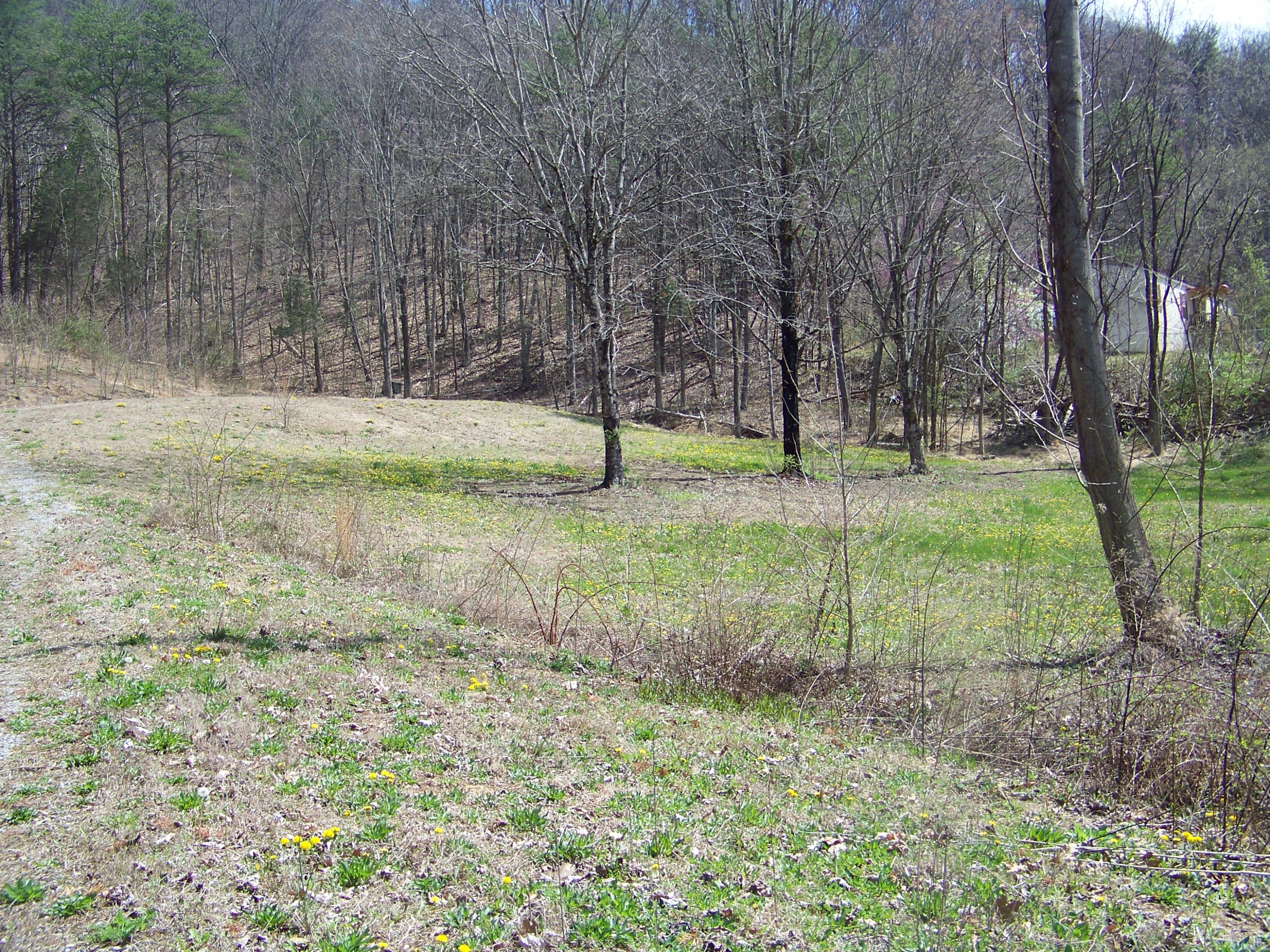 0 Pleasant Ridge School Road Talbott, TN 37877 - Photo 23 of 36 100_4503