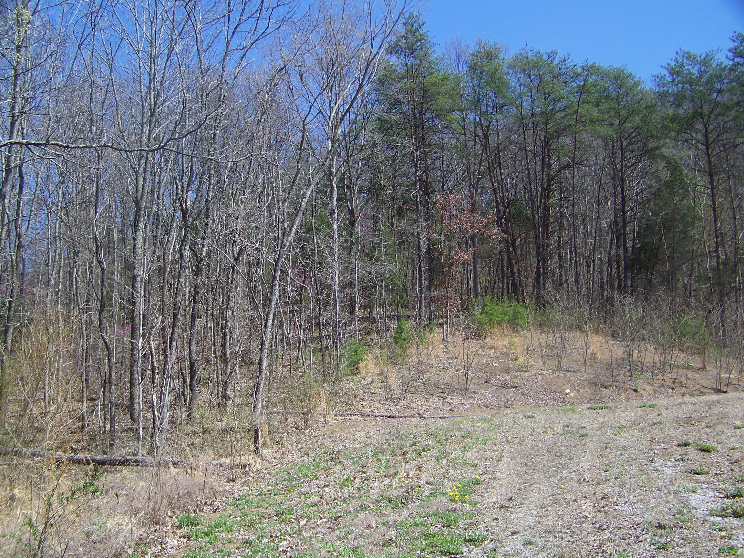 0 Pleasant Ridge School Road Talbott, TN 37877 - Photo 25 of 36 100_4505