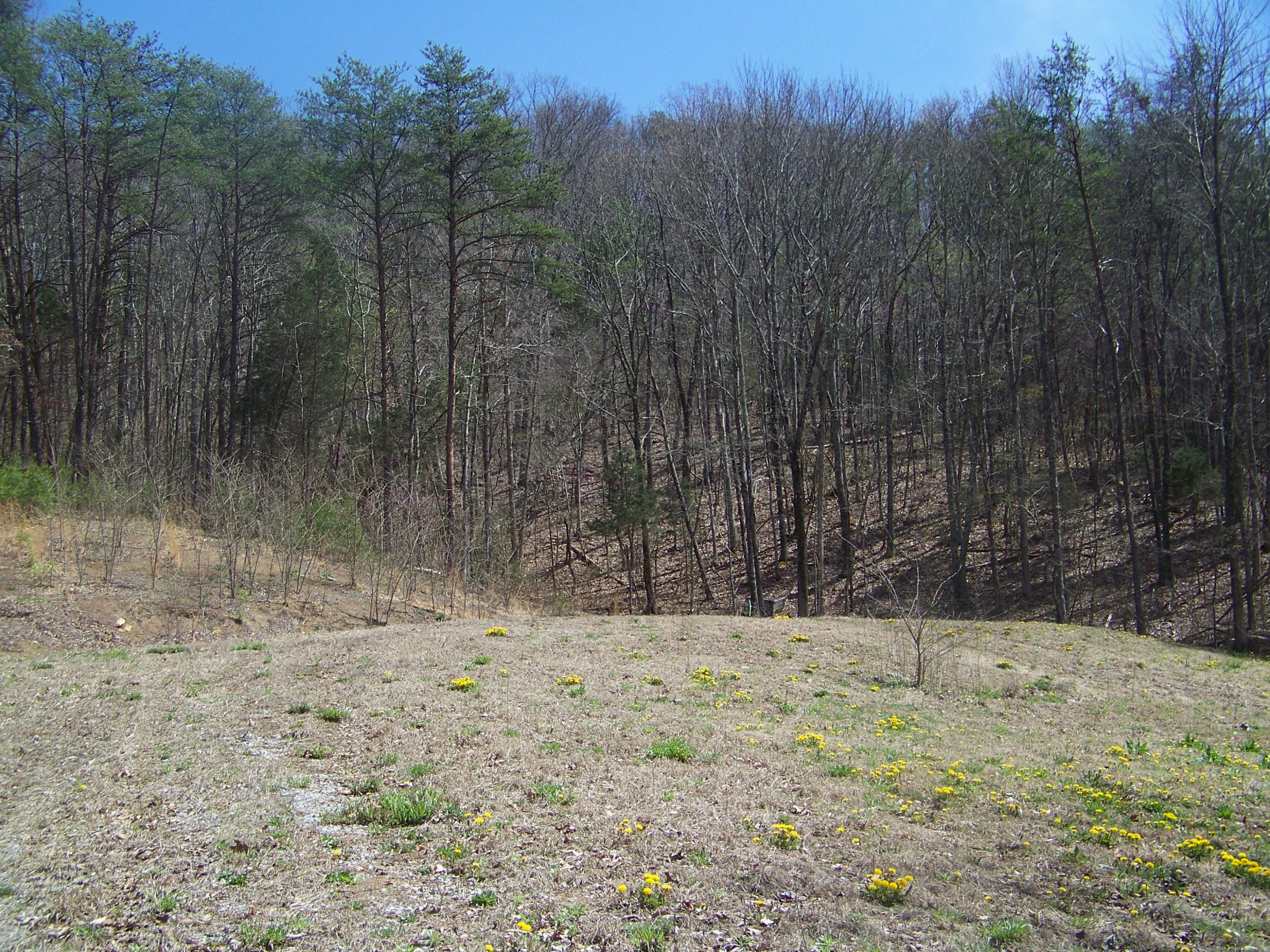 0 Pleasant Ridge School Road Talbott, TN 37877 - Photo 26 of 36 100_4506