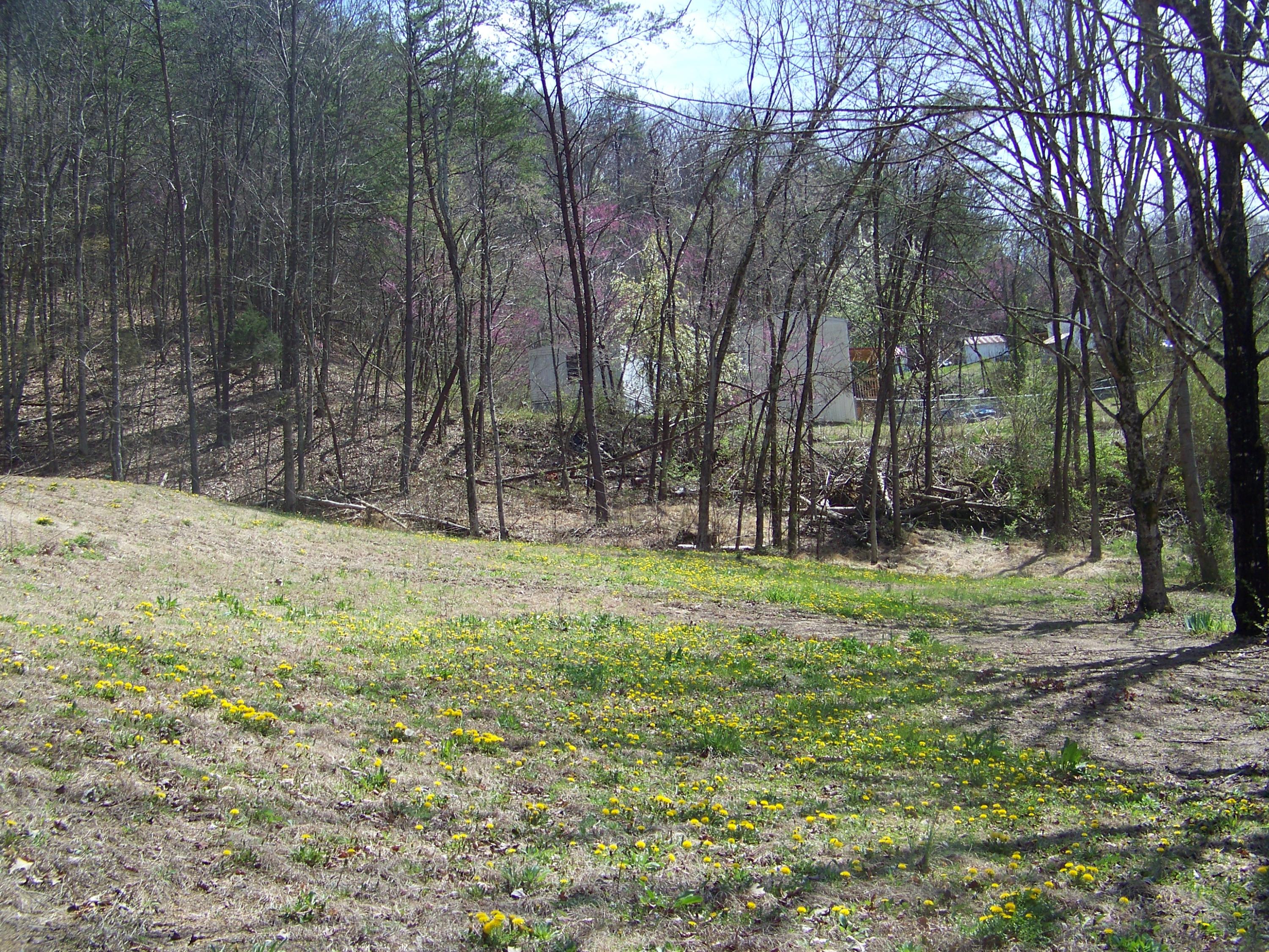 0 Pleasant Ridge School Road Talbott, TN 37877 - Photo 27 of 36 100_4507