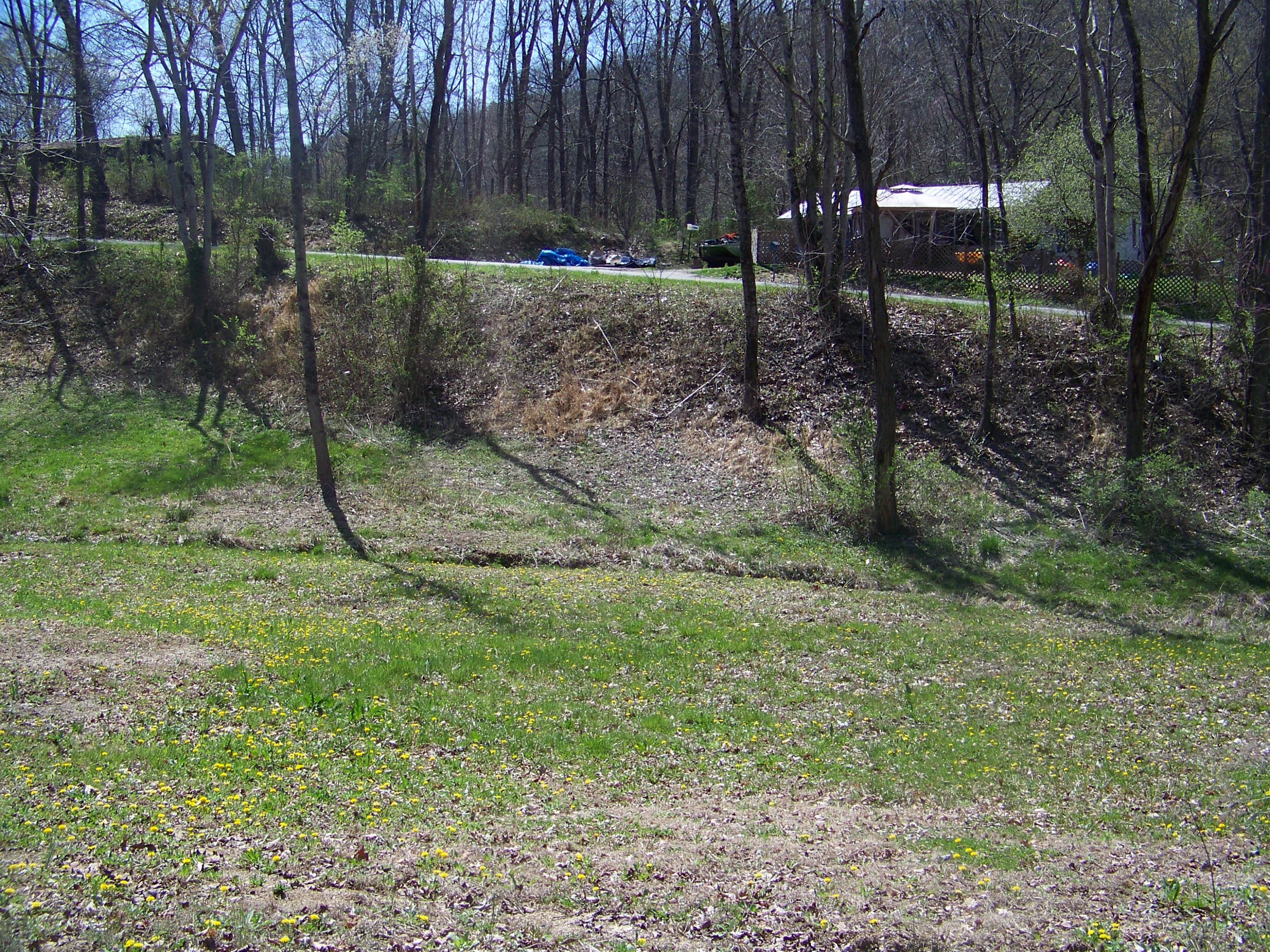 0 Pleasant Ridge School Road Talbott, TN 37877 - Photo 28 of 36 100_4508