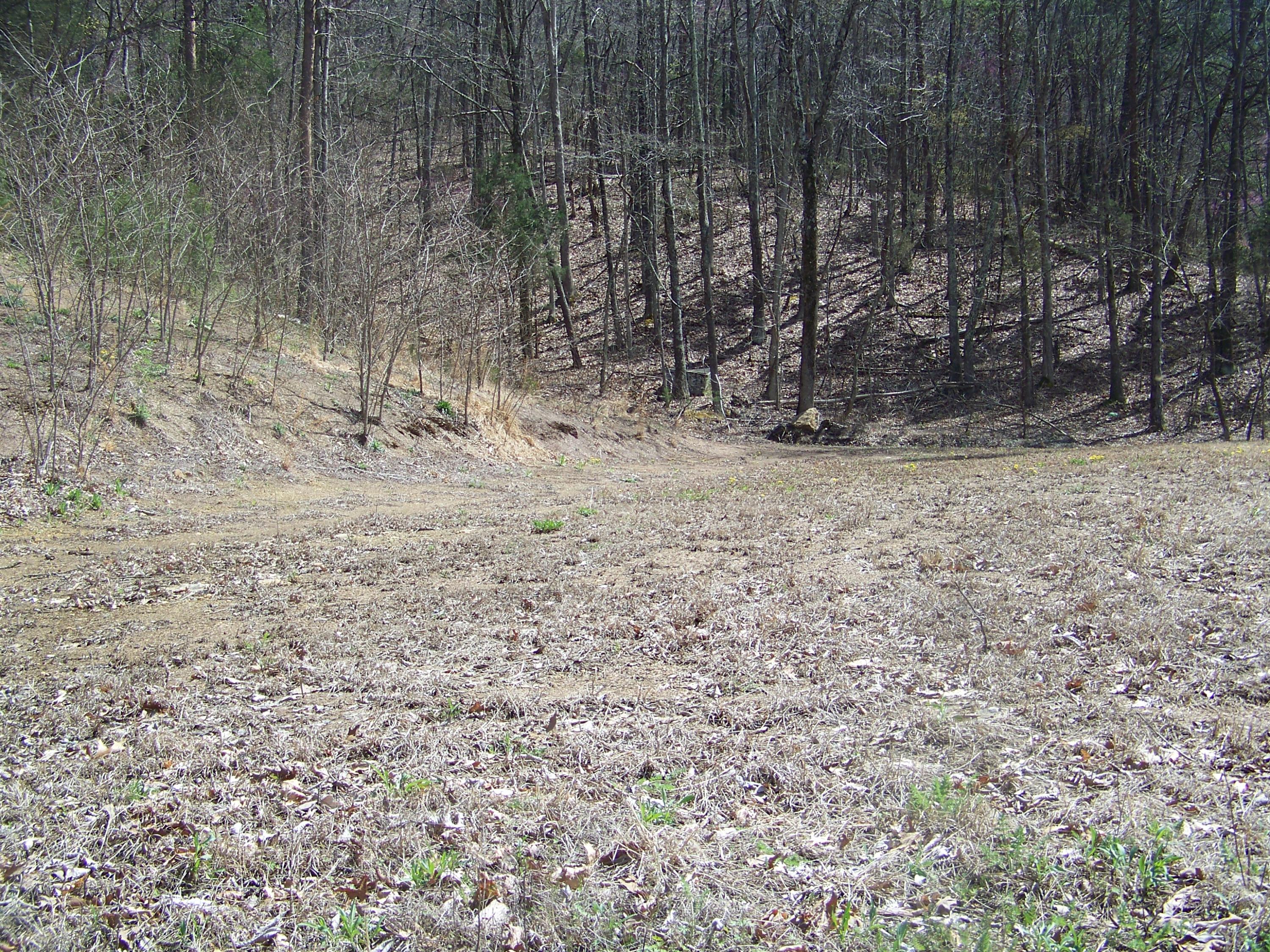 0 Pleasant Ridge School Road Talbott, TN 37877 - Photo 30 of 36 100_4510