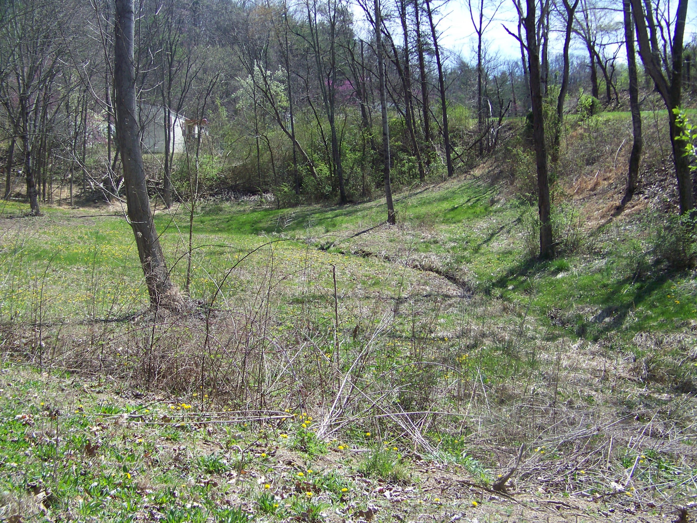 0 Pleasant Ridge School Road Talbott, TN 37877 - Photo 4 of 36 100_4502