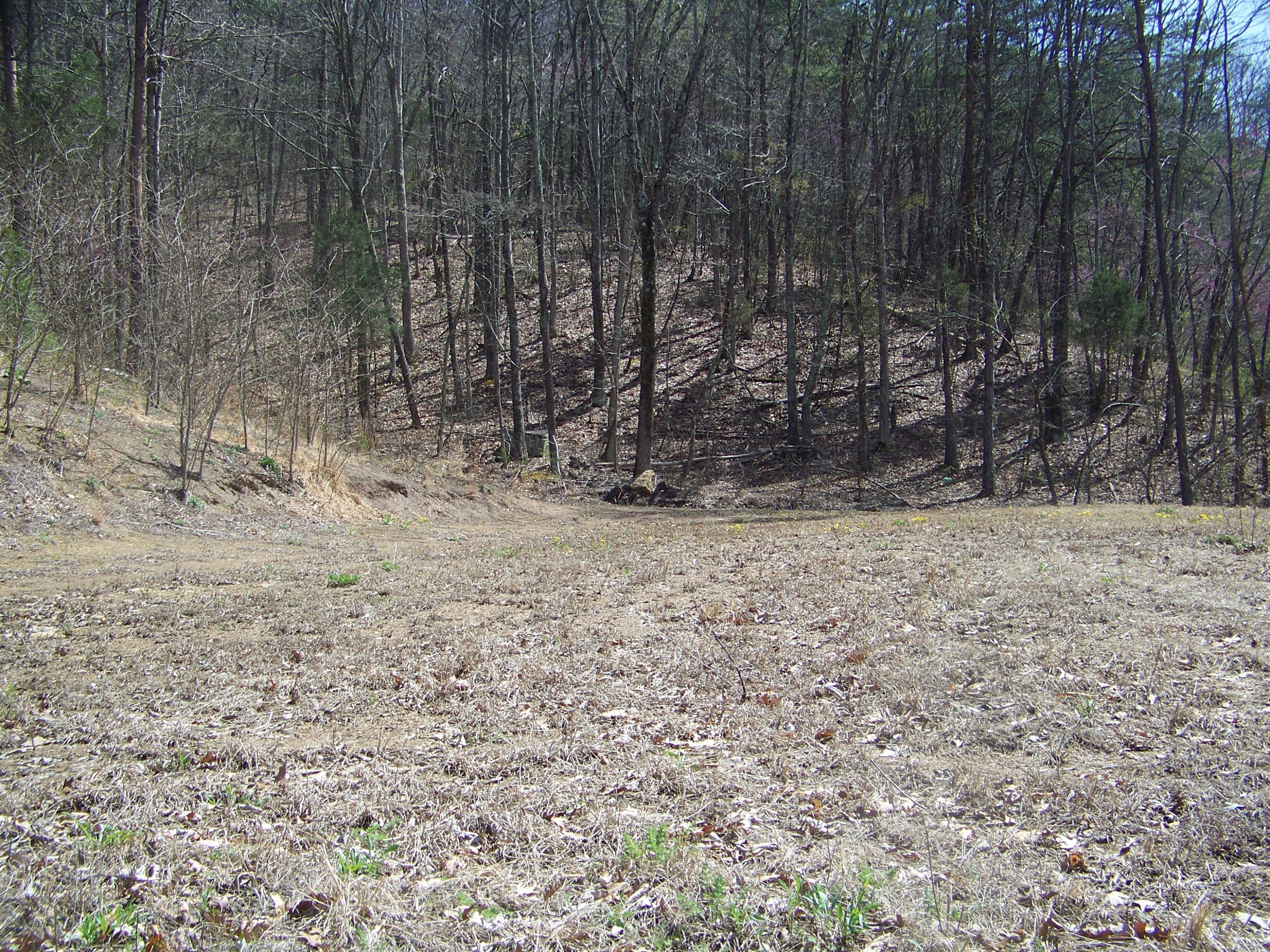 0 Pleasant Ridge School Road Talbott, TN 37877 - Photo 32 of 36 100_4512