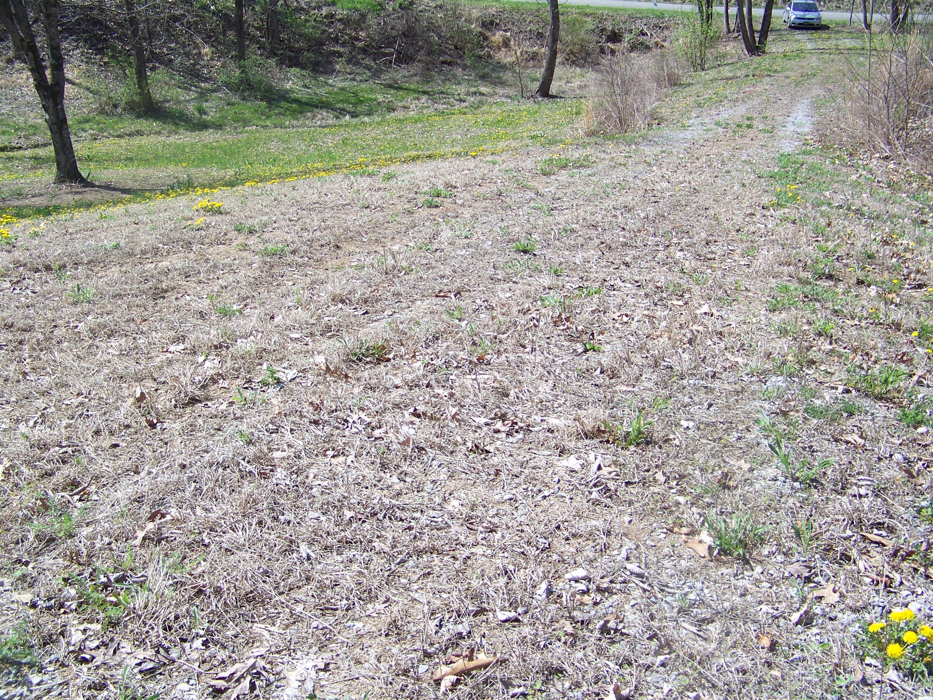 0 Pleasant Ridge School Road Talbott, TN 37877 - Photo 33 of 36 100_4514