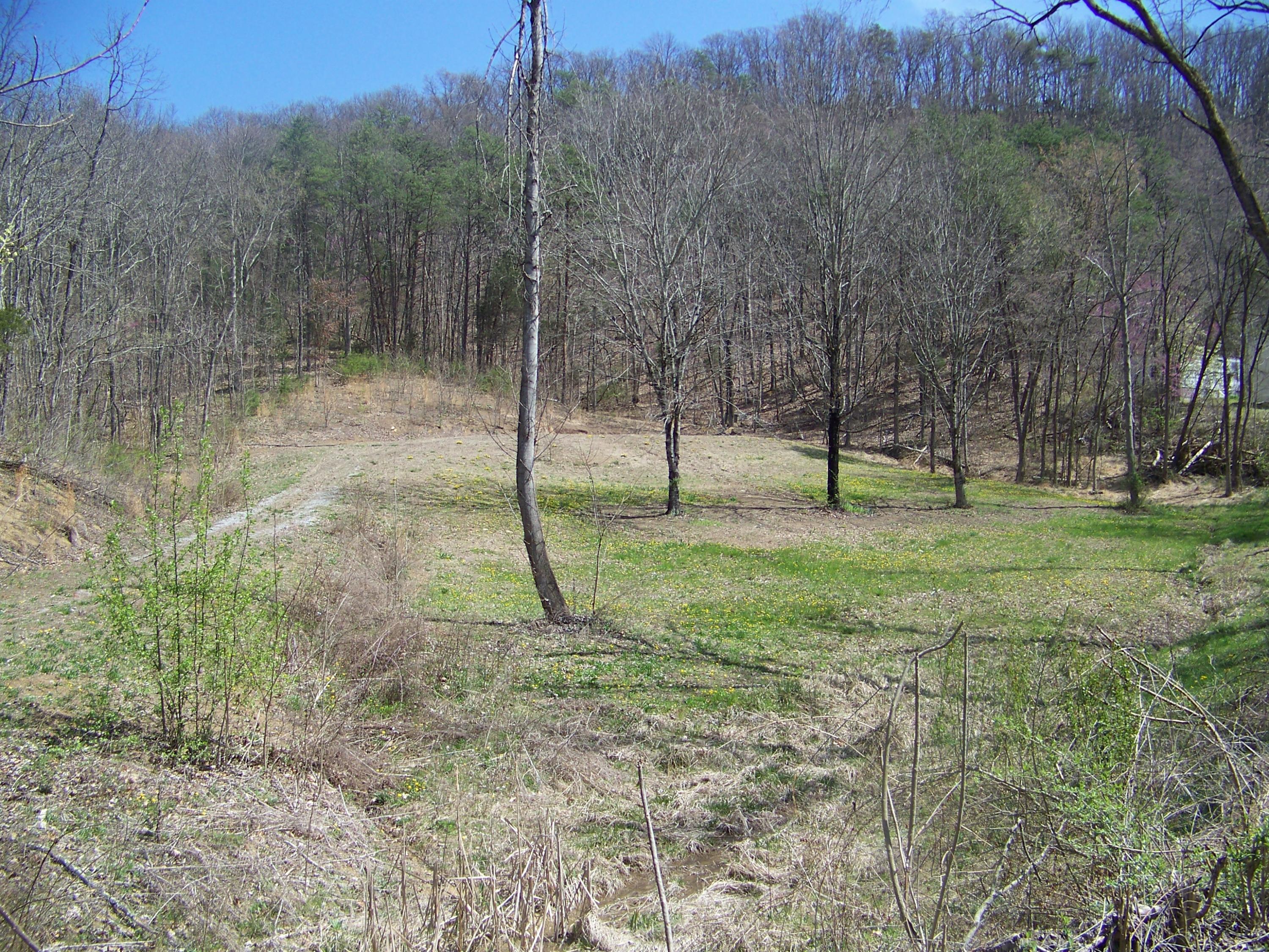 0 Pleasant Ridge School Road Talbott, TN 37877 - Photo 34 of 36 100_4516