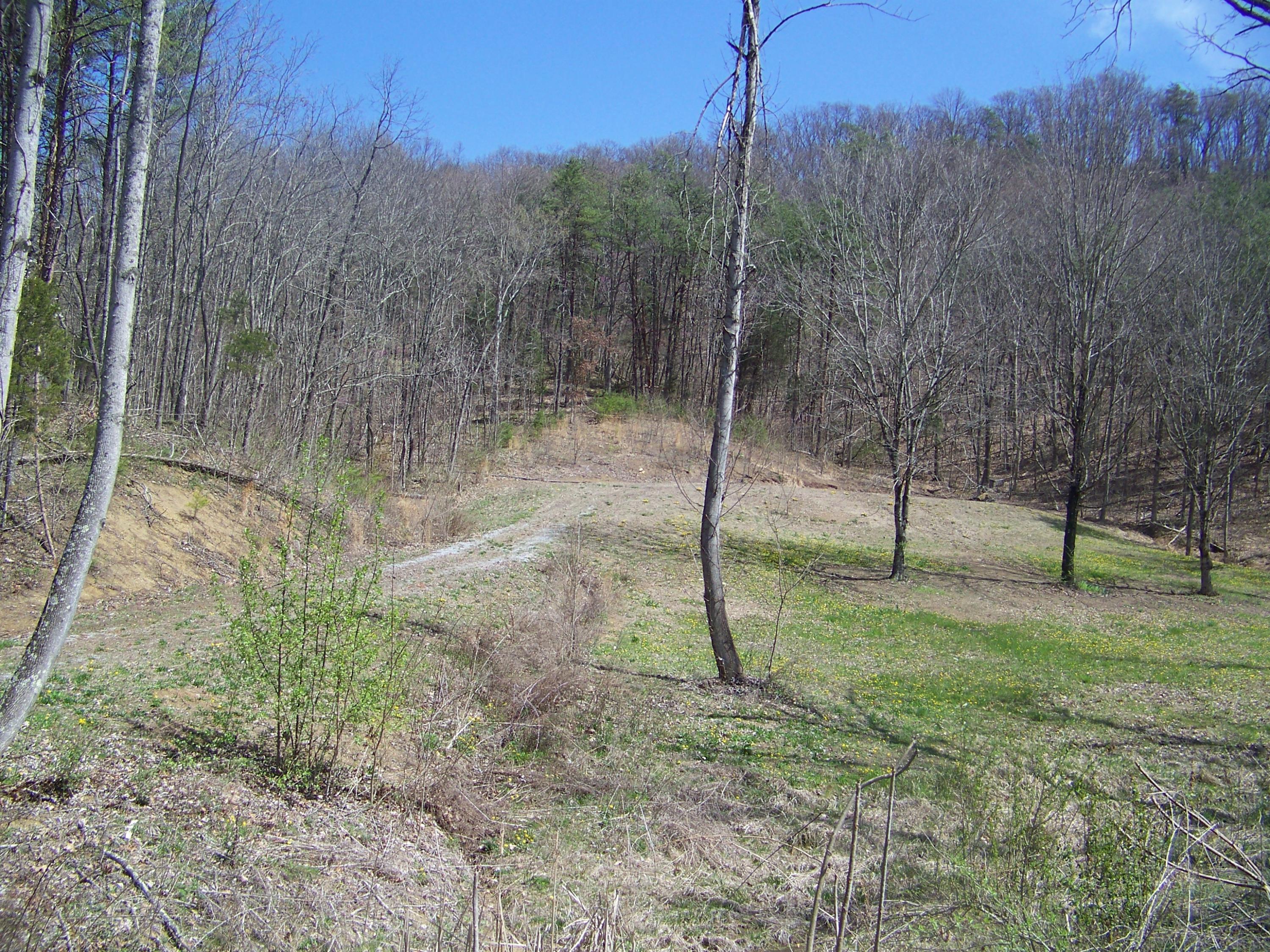 0 Pleasant Ridge School Road Talbott, TN 37877 - Photo 35 of 36 100_4517