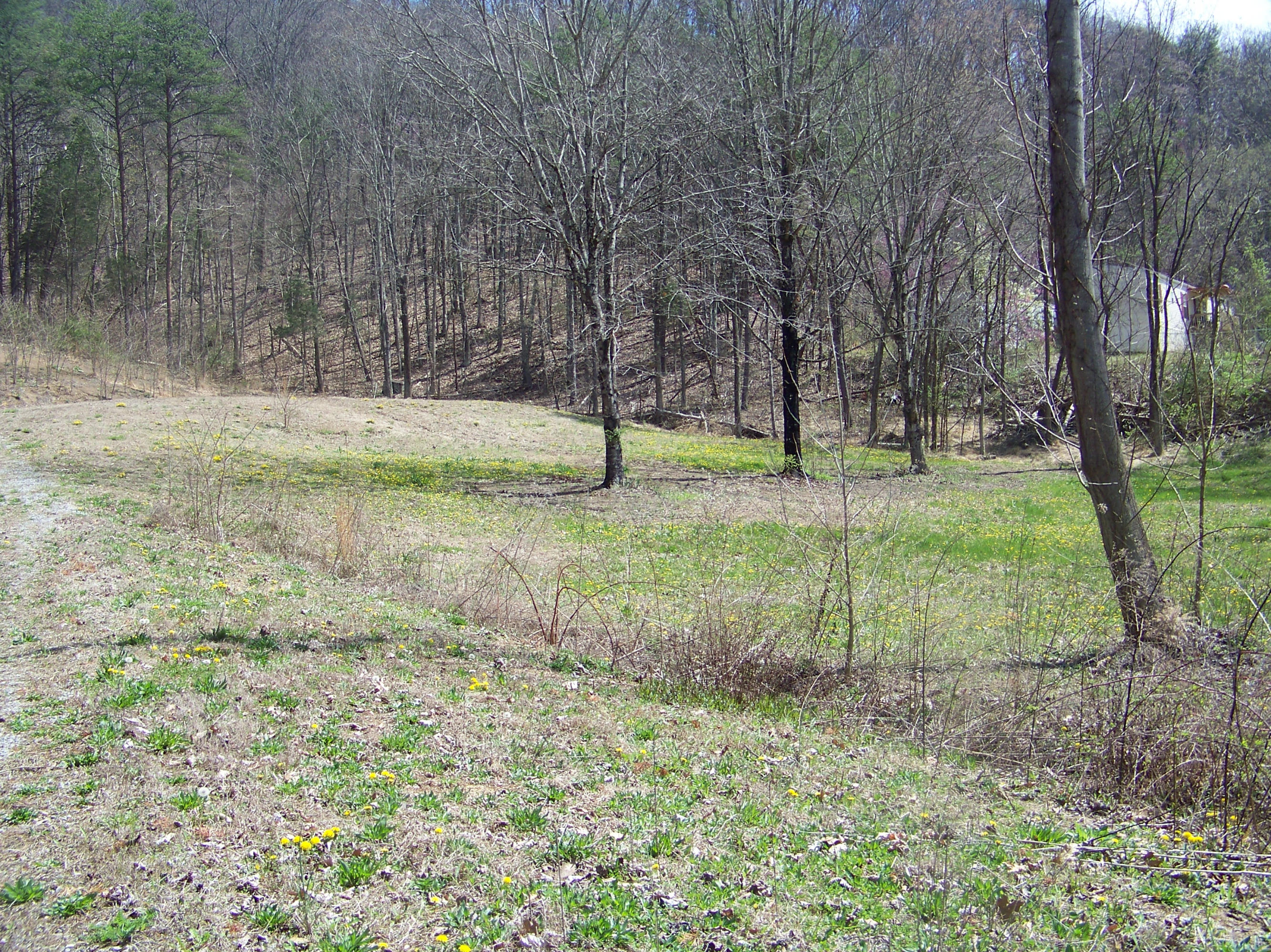 0 Pleasant Ridge School Road Talbott, TN 37877 - Photo 5 of 36 100_4503