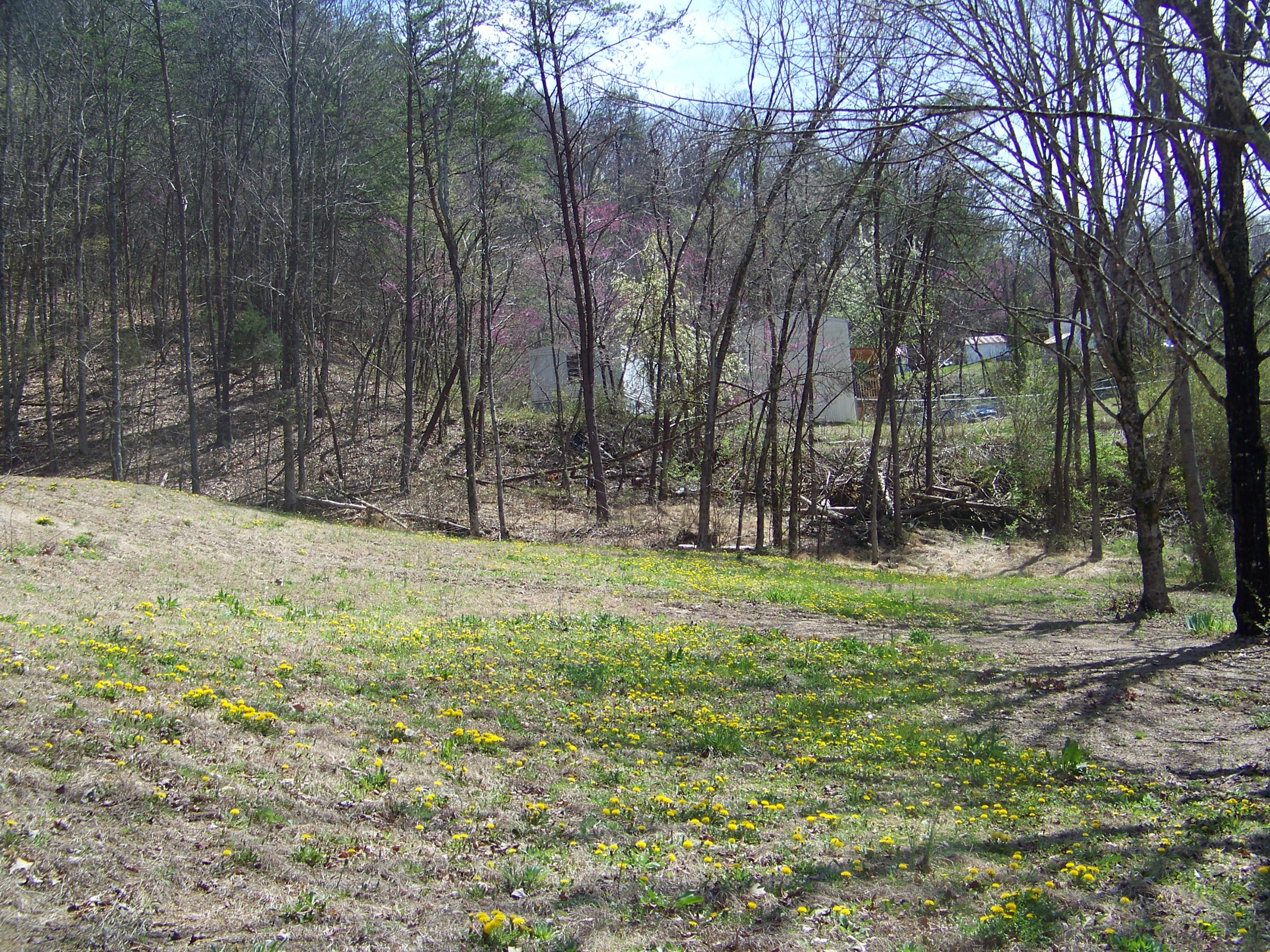 0 Pleasant Ridge School Road Talbott, TN 37877 - Photo 9 of 36 100_4507