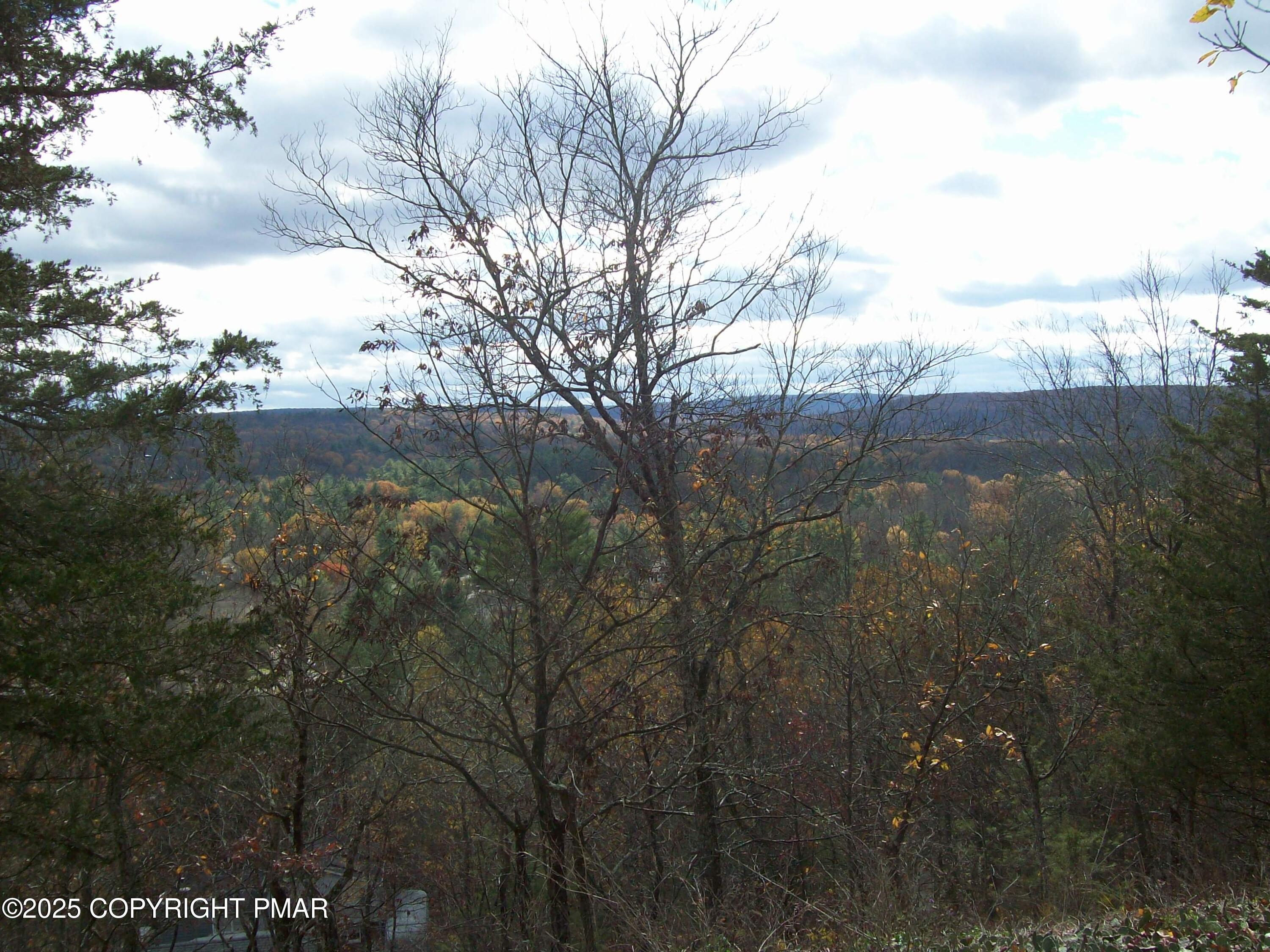 116 Kasak Road East Stroudsburg, PA 18302 - Photo 3 of 17 a view of a yard