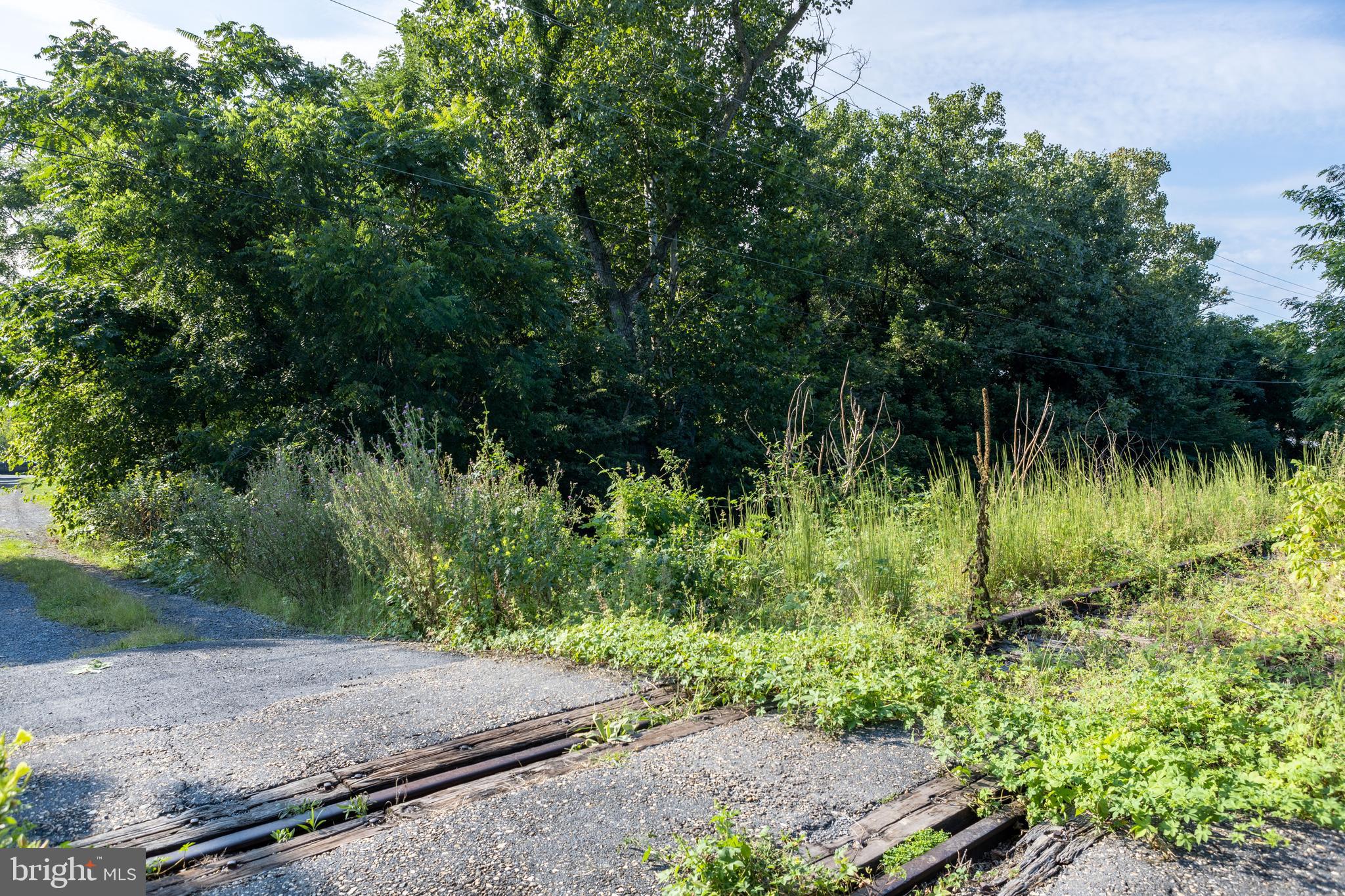 North Main Mount Mount Jackson, VA 22842 - Photo 5 of 9 a view of backyard and tree