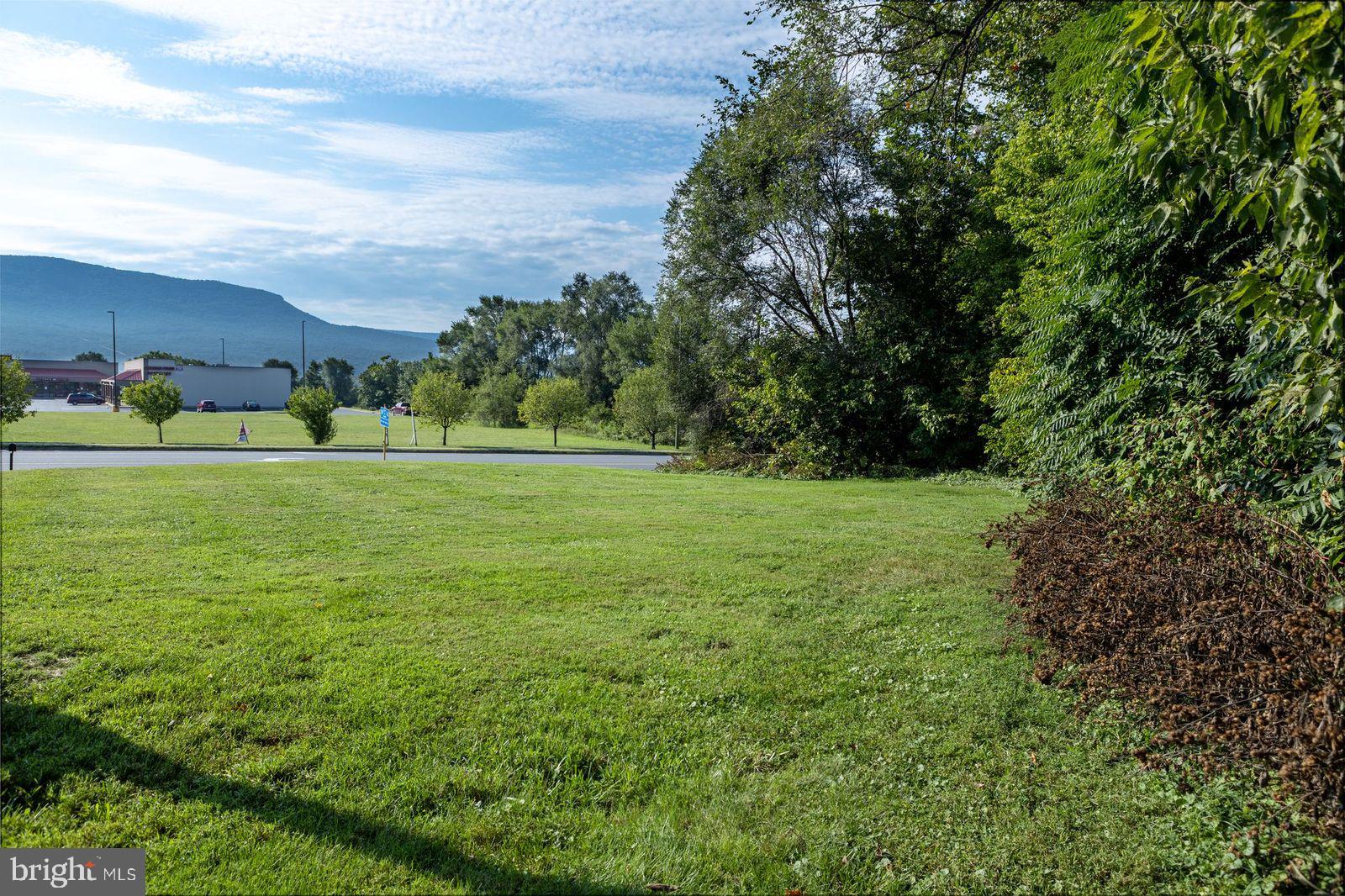 North Main Mount Mount Jackson, VA 22842 - Photo 6 of 9 a view of a grassy field with trees in the background