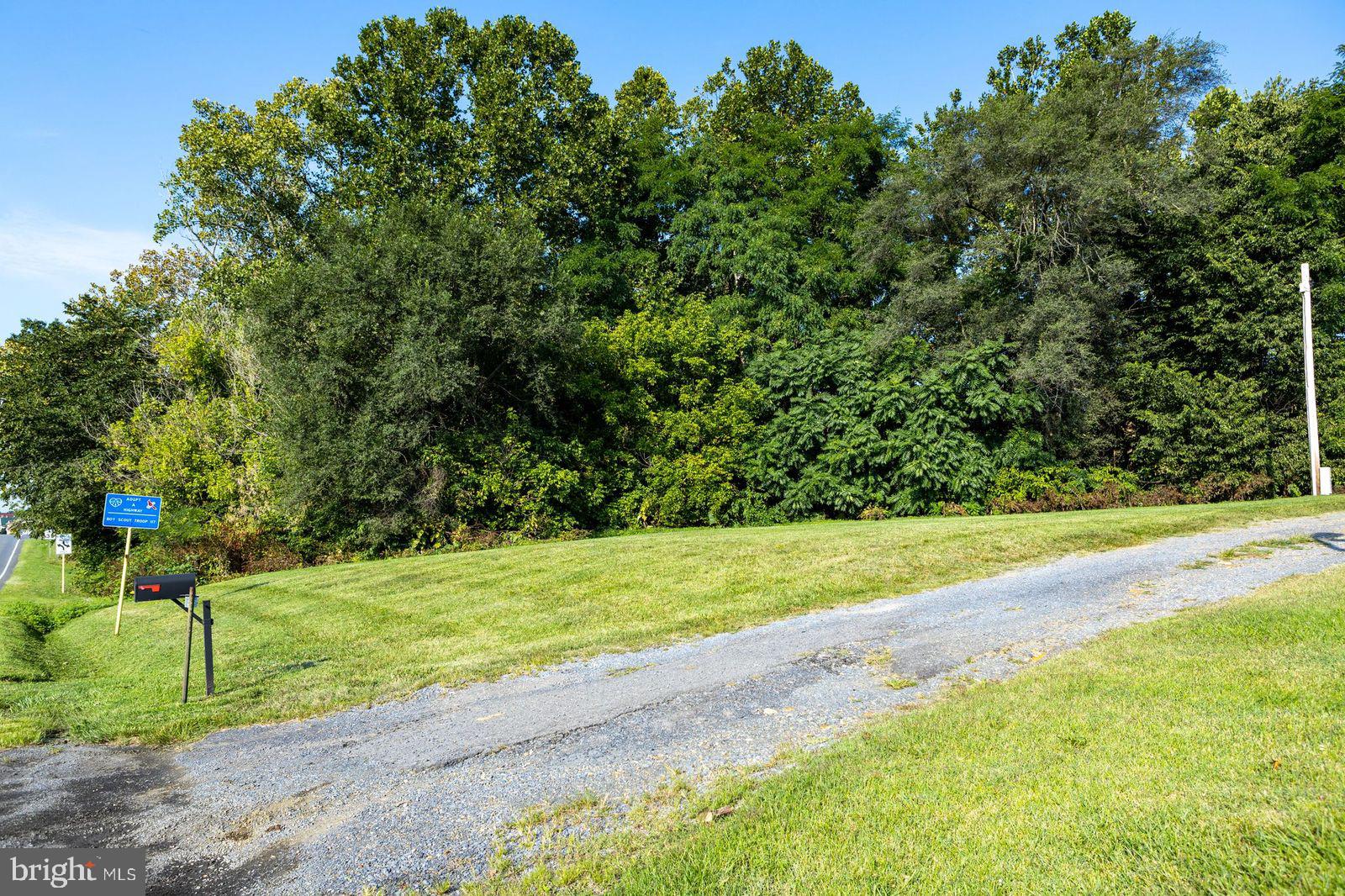 North Main Mount Mount Jackson, VA 22842 - Photo 8 of 9 a view of a yard with a house