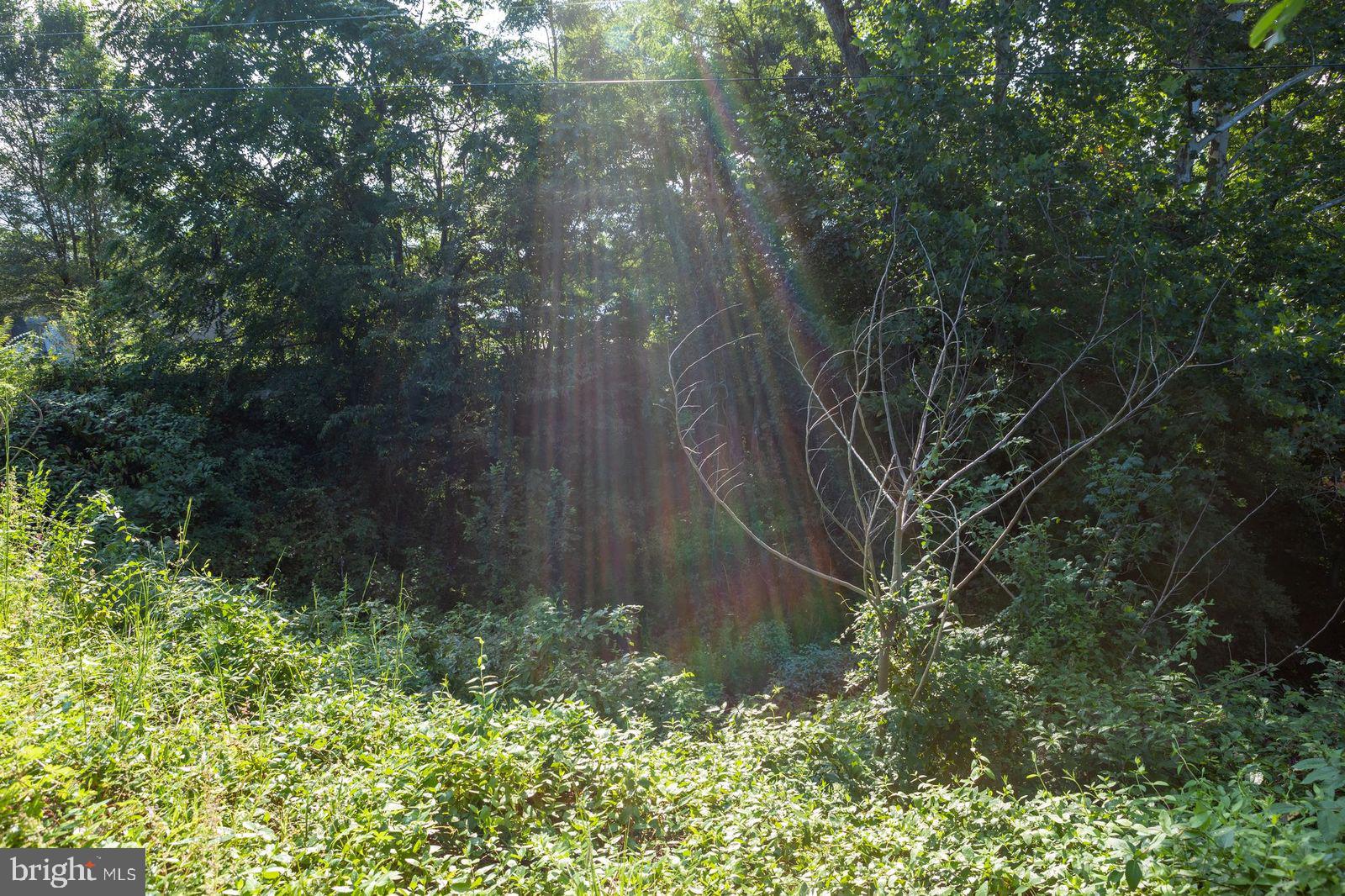 North Main Mount Mount Jackson, VA 22842 - Photo 9 of 9 a backyard of a house