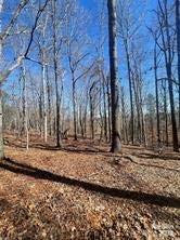 Lot 6 Flint Ridge Road, Unit 6 Albemarle, NC 28001 - Photo 11 of 14 a view of a backyard with green space