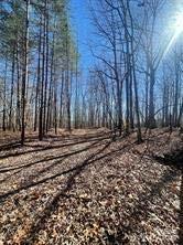 Lot 6 Flint Ridge Road, Unit 6 Albemarle, NC 28001 - Photo 3 of 14 a view of a backyard with trees
