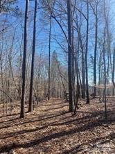 Lot 6 Flint Ridge Road, Unit 6 Albemarle, NC 28001 - Photo 4 of 14 a view of a building with trees