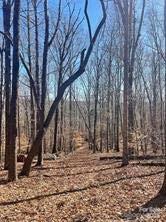 Lot 6 Flint Ridge Road, Unit 6 Albemarle, NC 28001 - Photo 5 of 14 a view of covered with snow