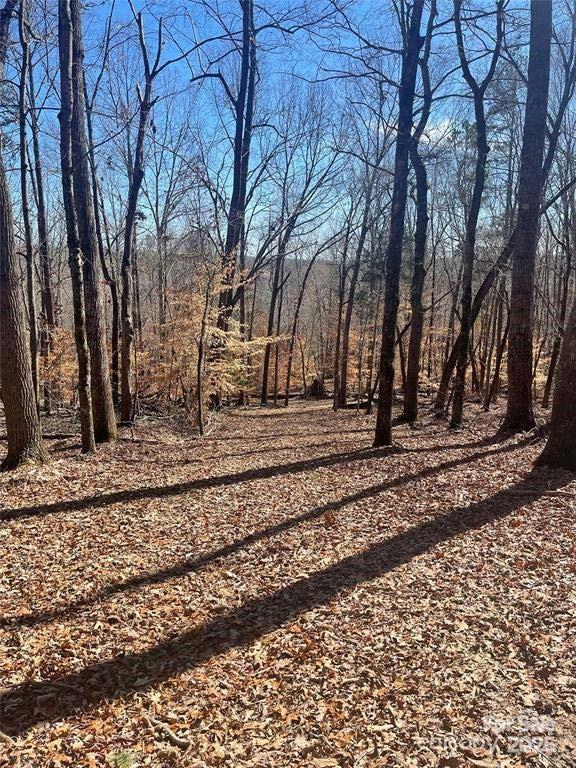 Lot 6 Flint Ridge Road, Unit 6 Albemarle, NC 28001 - Photo 6 of 14 a view of a backyard of the house