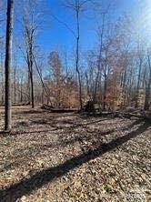 Lot 6 Flint Ridge Road, Unit 6 Albemarle, NC 28001 - Photo 8 of 14 a view of a yard with trees