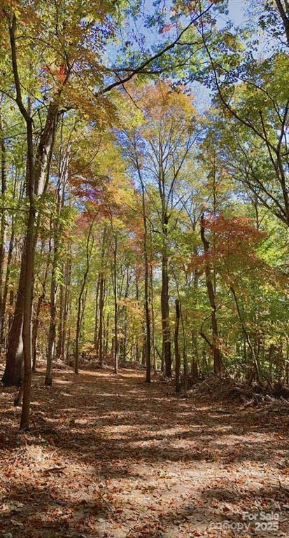 Lot 6 Flint Ridge Road, Unit 6 Albemarle, NC 28001 - Photo 9 of 14 a view of park space
