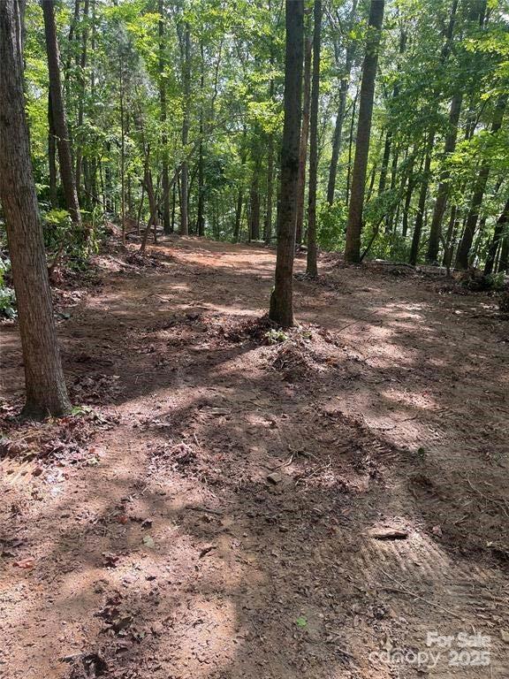 Lot 6 Flint Ridge Road, Unit 6 Albemarle, NC 28001 - Photo 10 of 14 a view of a tree in the middle of a forest