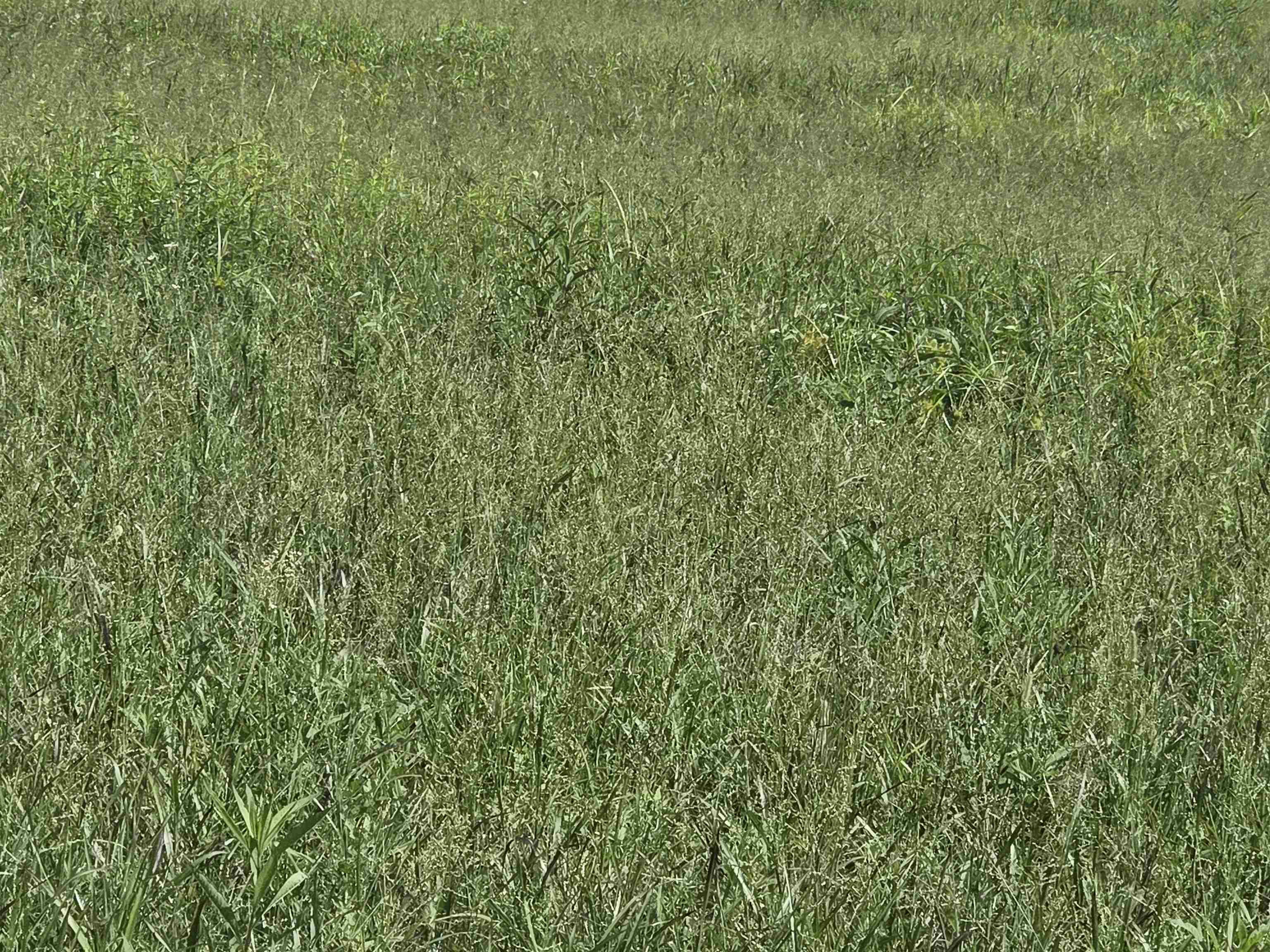 0 Tar Fork Road Vanceburg, KY 41179 - Photo 21 of 33 Gallery Image 21