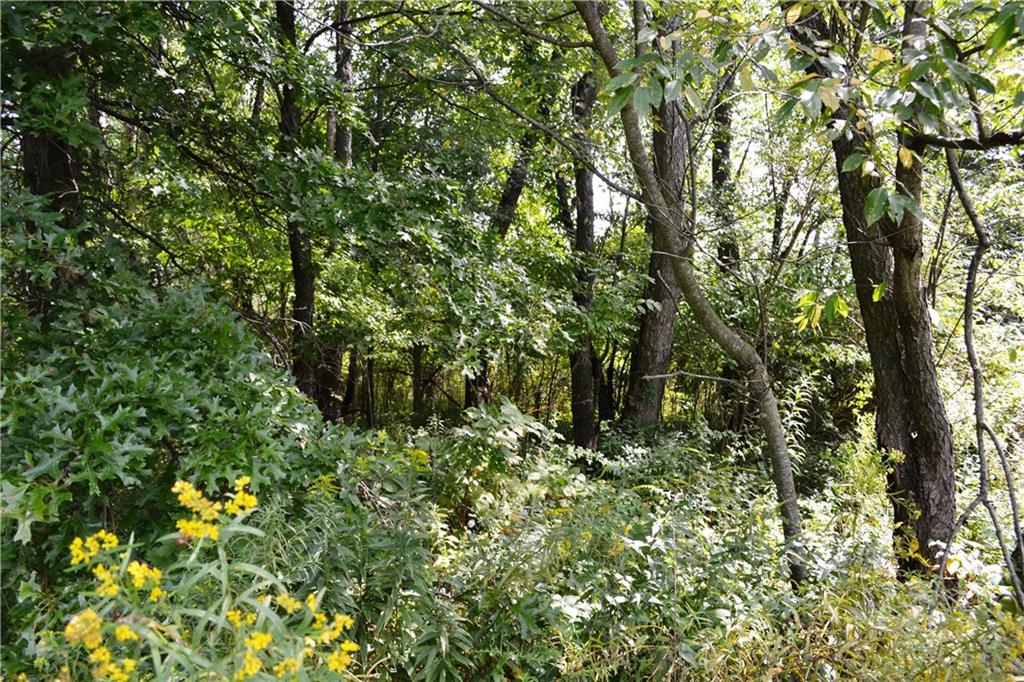1600 Marr Road Pulaski, PA 16143 - Photo 8 of 12 Wooded property at rear of lot.