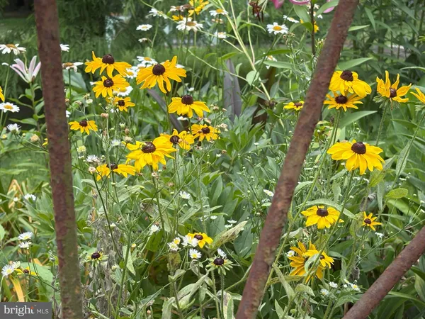 $975,000 | 8612 Sandy Beach Lane, King George, VA 22485