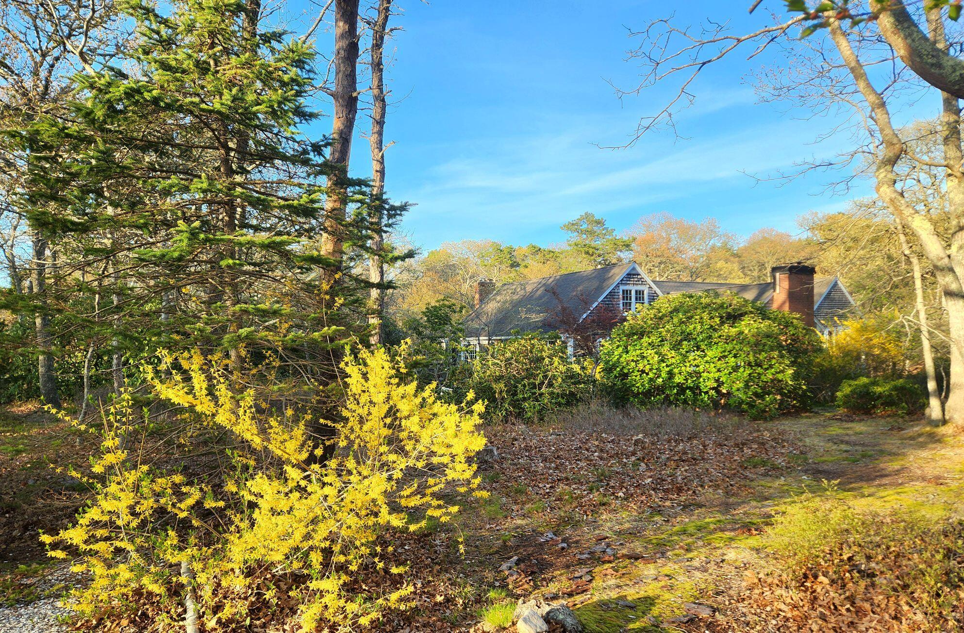 988 Crowells Bog Road Brewster, MA 02631 - Photo 76 of 92 Resized_20250502_182608