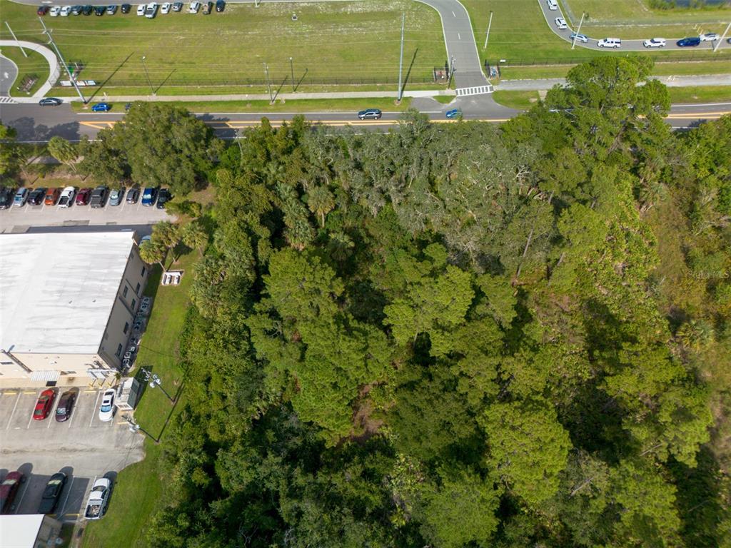 265 Enterprise Road Deltona, FL 32725 - Photo 22 of 24 a view of a garden