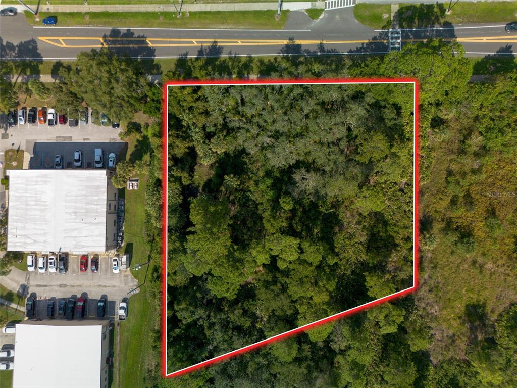 265 Enterprise Road Deltona, FL 32725 - Photo 9 of 24 a view of a yard