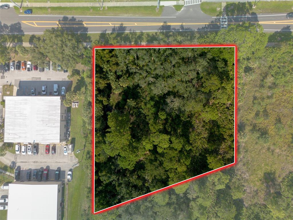 265 Enterprise Road Deltona, FL 32725 - Photo 10 of 24 a view of a garden from a window