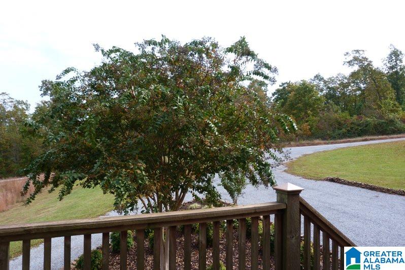 265 Bowden Ridge Road Lineville, AL 36266 - Photo 46 of 46