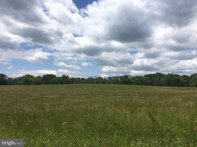 Cather Road Berryville, VA 22611 - Photo 1 of 2 VIEW FROM CATHER RD