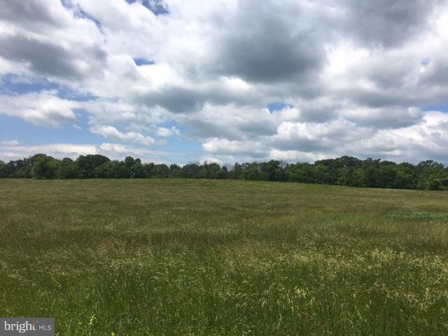 Cather Road Berryville, VA 22611 - Photo 2 of 2 VIEW FROM CATHER RD