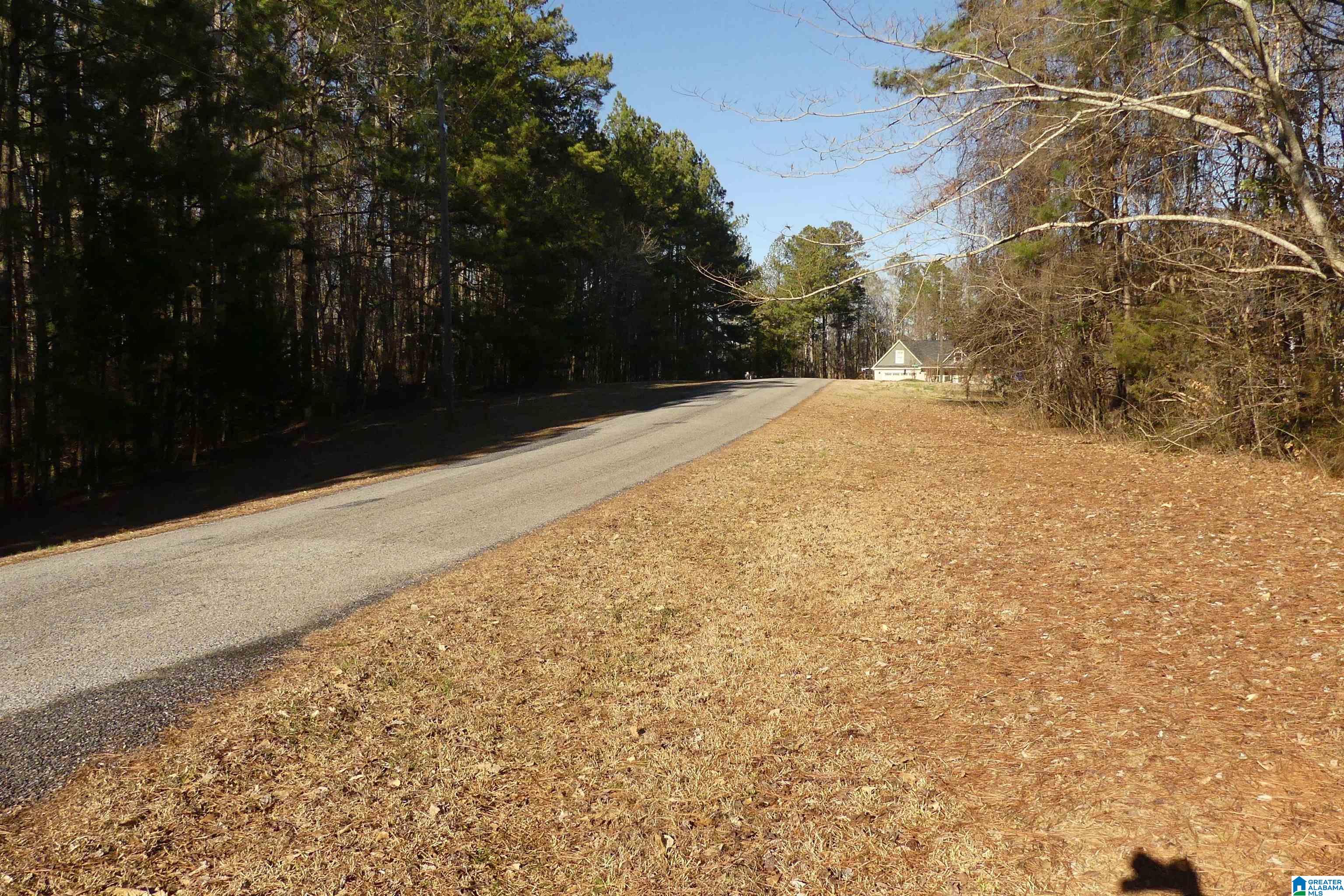 Lot # Memory Lane, Unit 4 Wedowee, AL 36278 - Photo 6 of 9