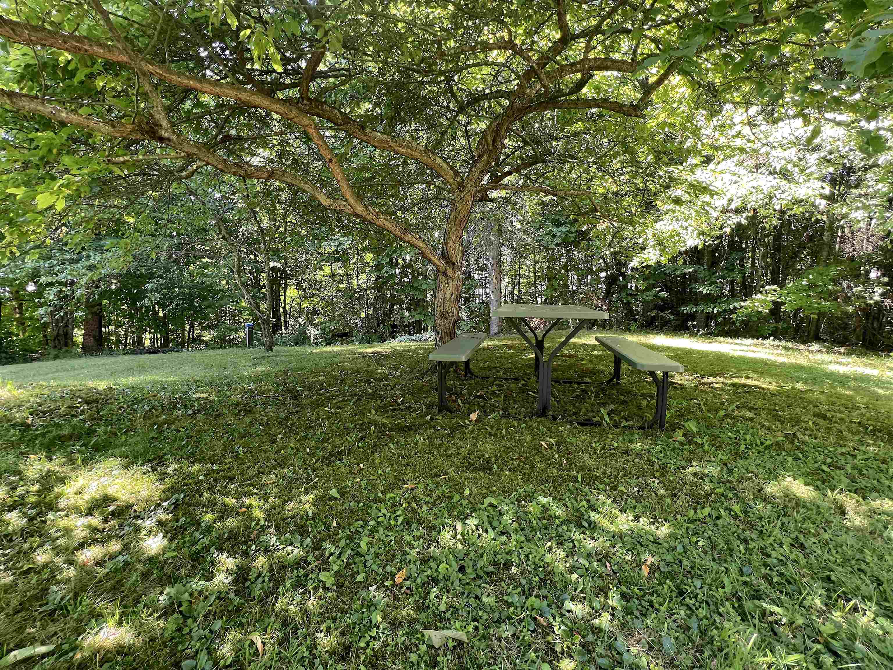 1690 West Hill Road Hardwick, VT 05843 - Photo 40 of 54 Gallery Image 40