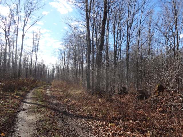 Near Near Swan Road Crystal Falls, MI 49920 - Photo 1 of 3 Gallery Image 1
