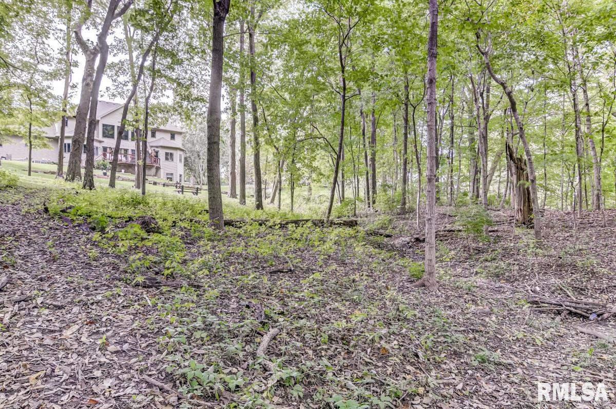 6200 Westminster Court Springfield, IL 62711 - Photo 36 of 47 Gallery Image 36